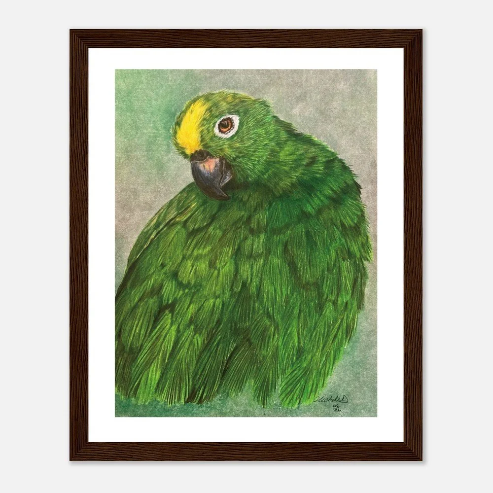 Green Parrot Art Print - Framed
