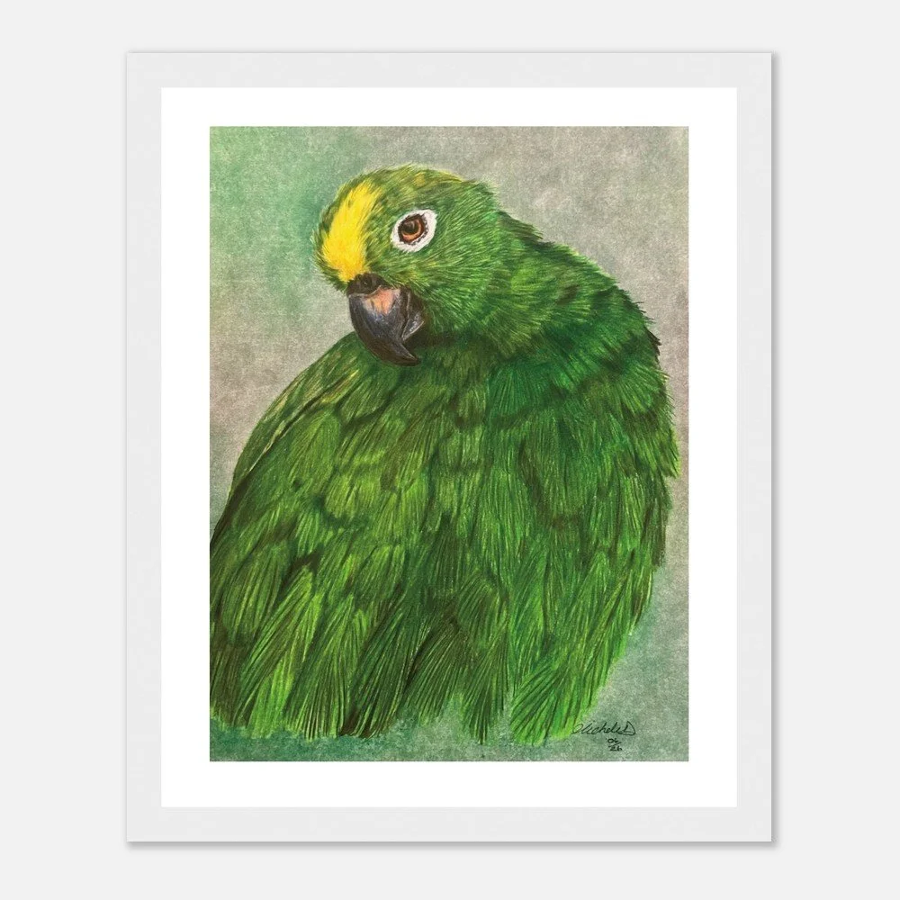 Green Parrot Art Print - Framed