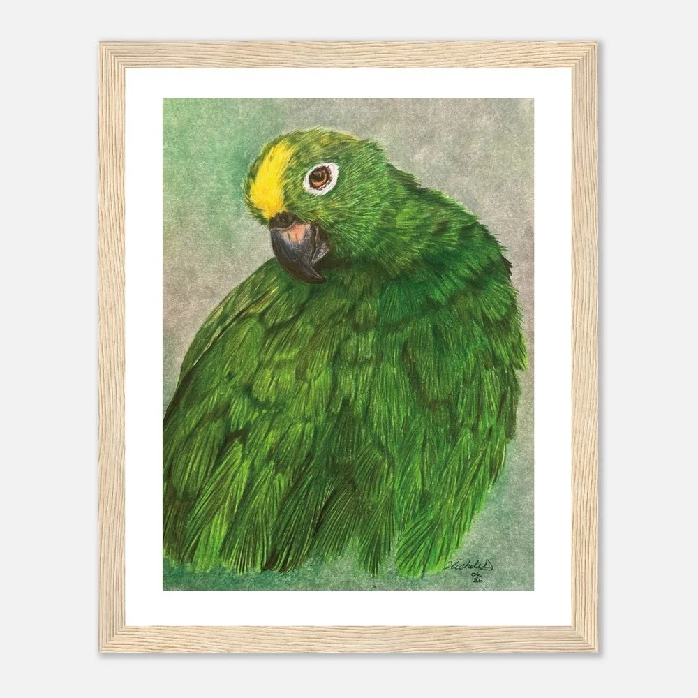 Green Parrot Art Print - Framed