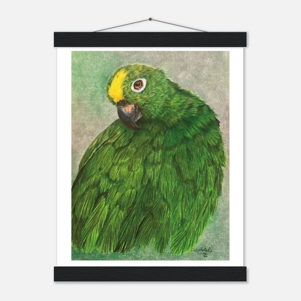 Green Parrot Art Print - Framed