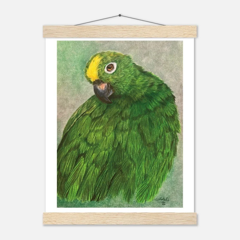Green Parrot Art Print - Framed