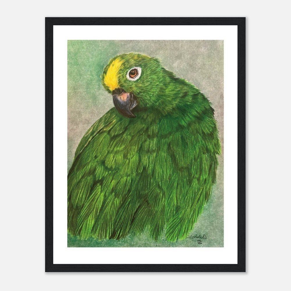 Green Parrot Art Print - Framed
