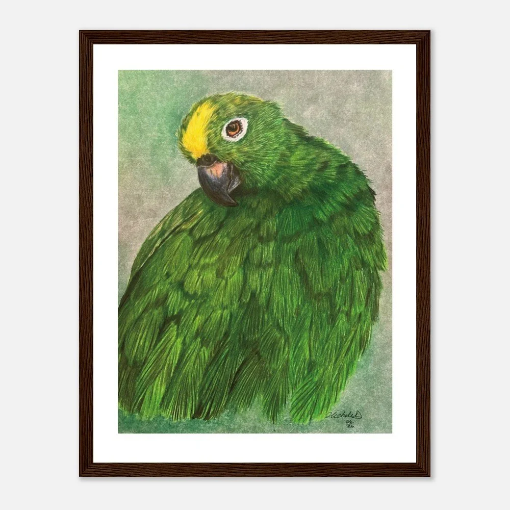 Green Parrot Art Print - Framed