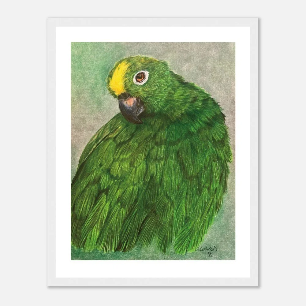 Green Parrot Art Print - Framed