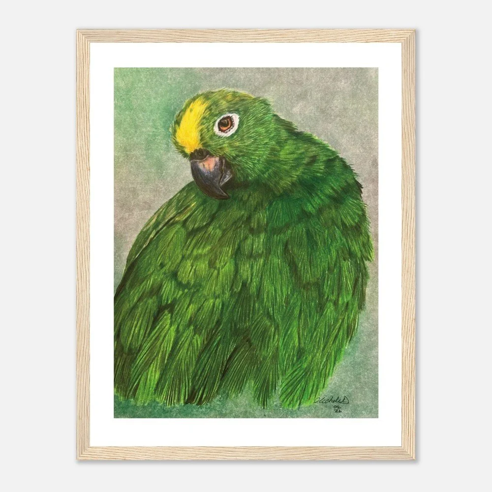 Green Parrot Art Print - Framed