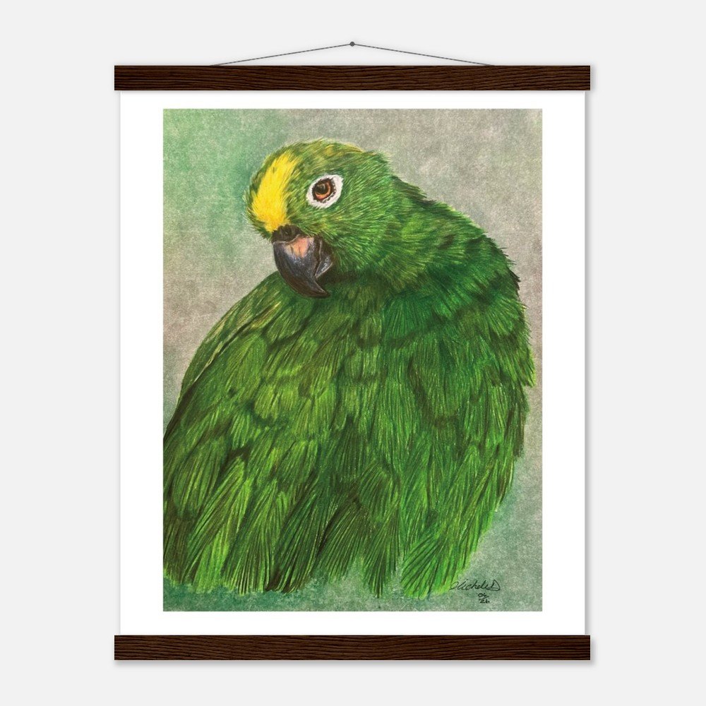 Green Parrot Art Print - Framed