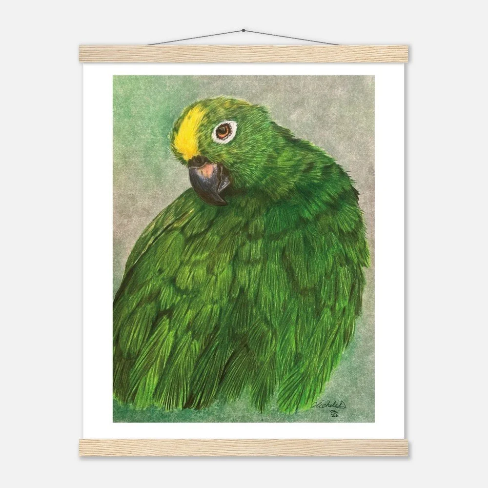 Green Parrot Art Print - Framed
