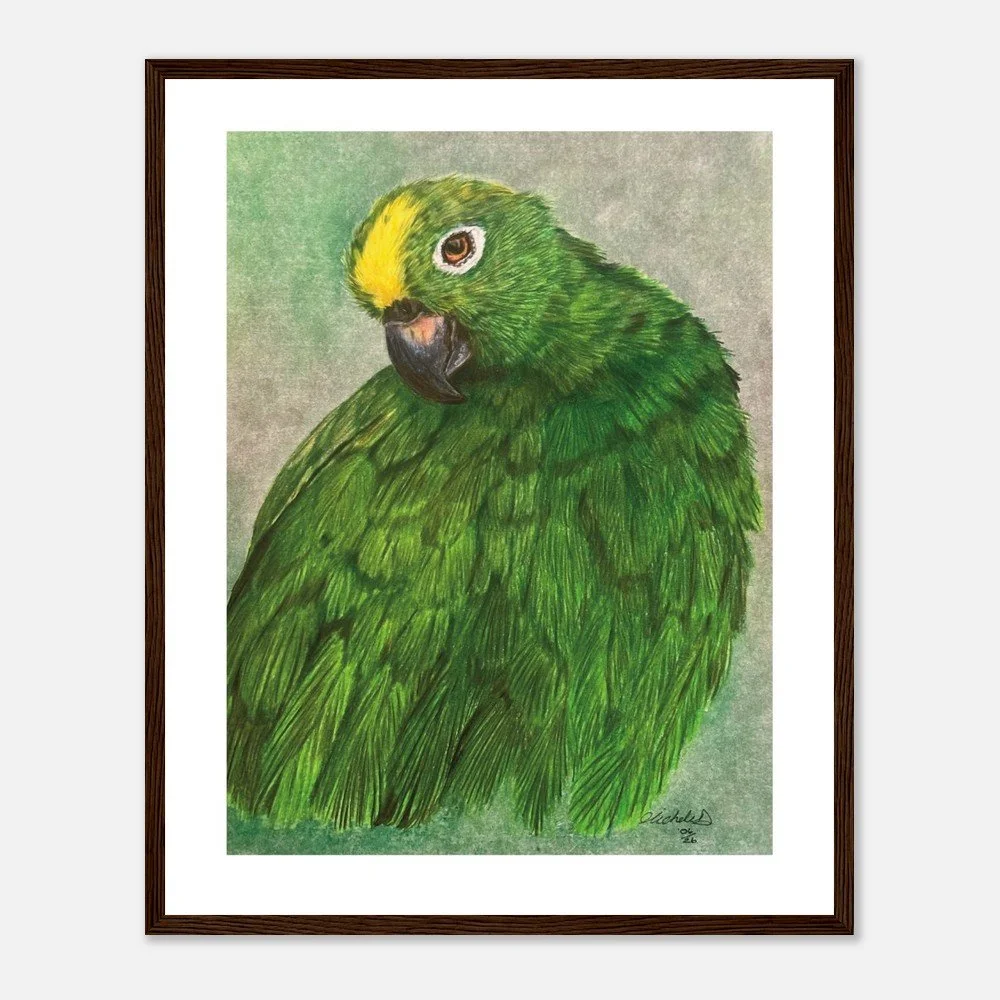 Green Parrot Art Print - Framed