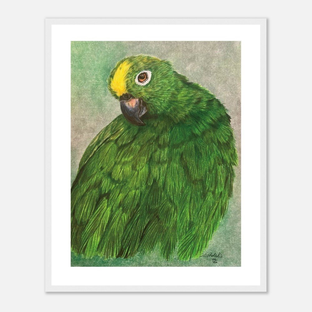 Green Parrot Art Print - Framed