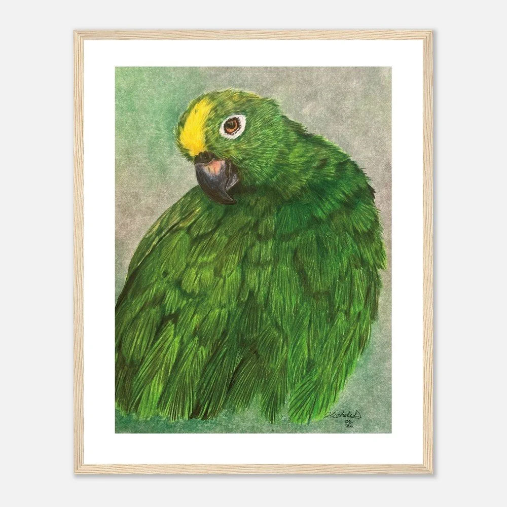 Green Parrot Art Print - Framed