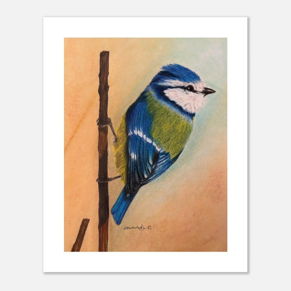 Blue Tit Art Print