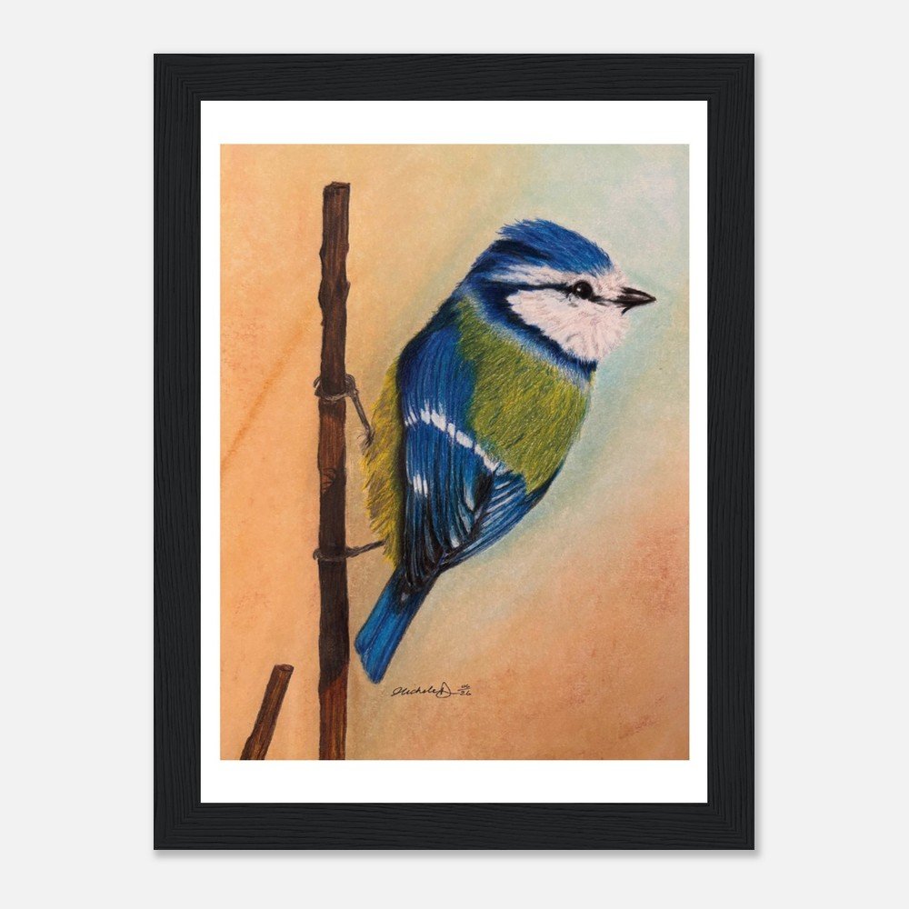 Blue Tit Print Framed
