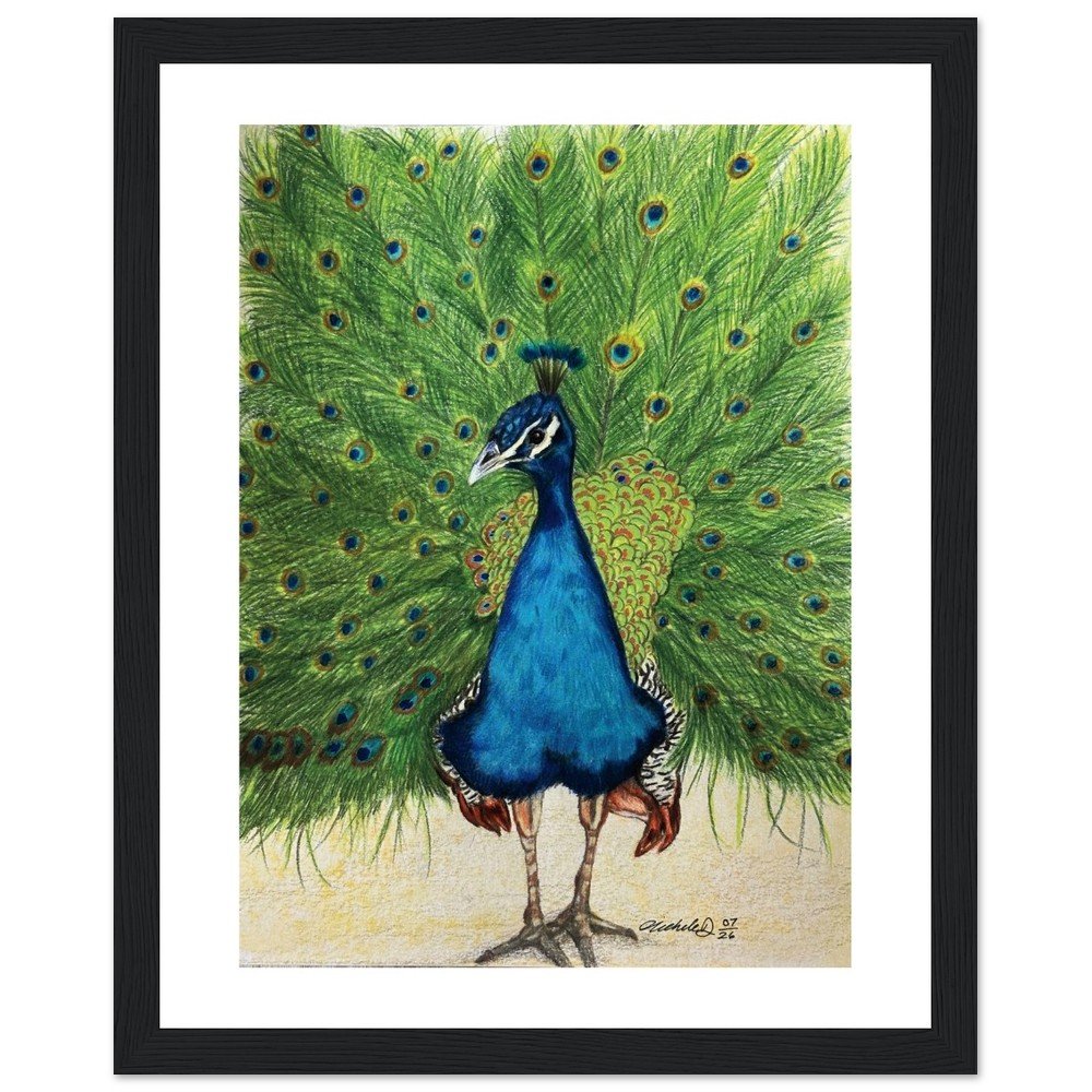 Framed Peacock Art Print – Colour Pencil Wildlife Wall Art