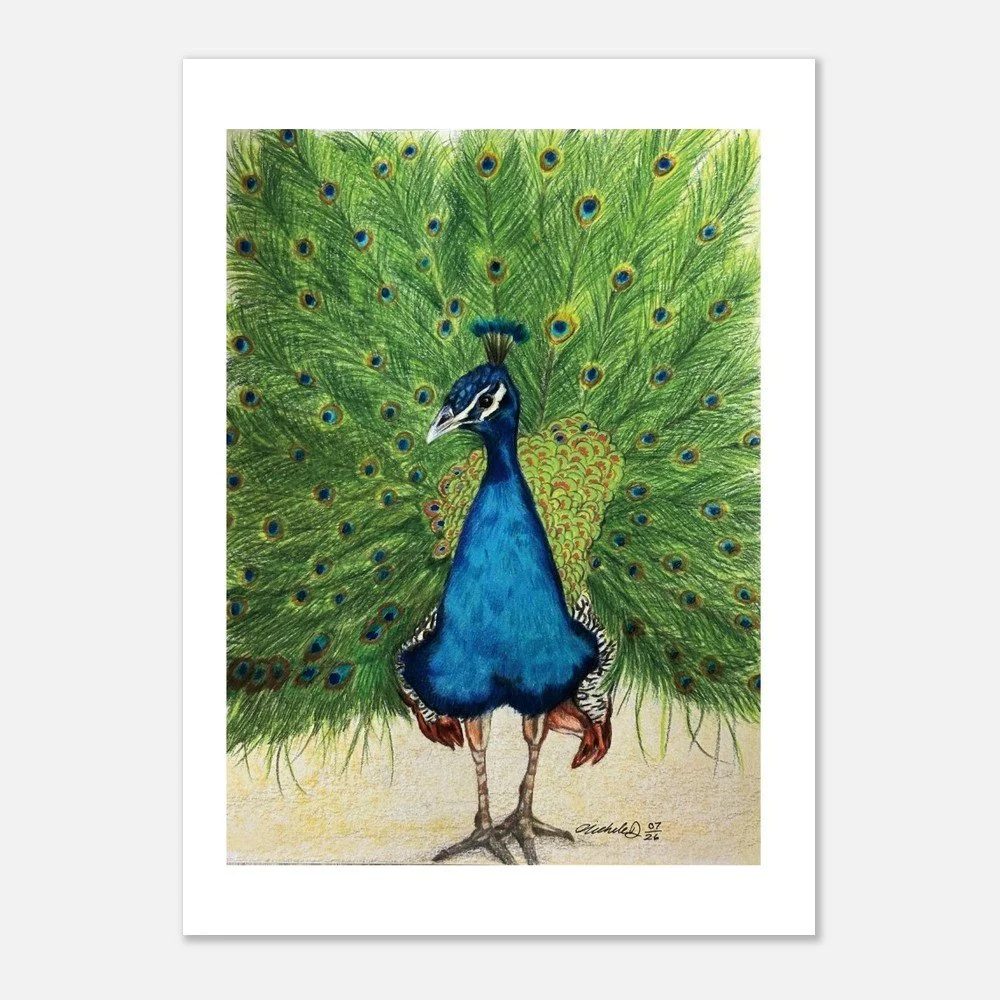 Peacock Art Print – Wildlife Artwork