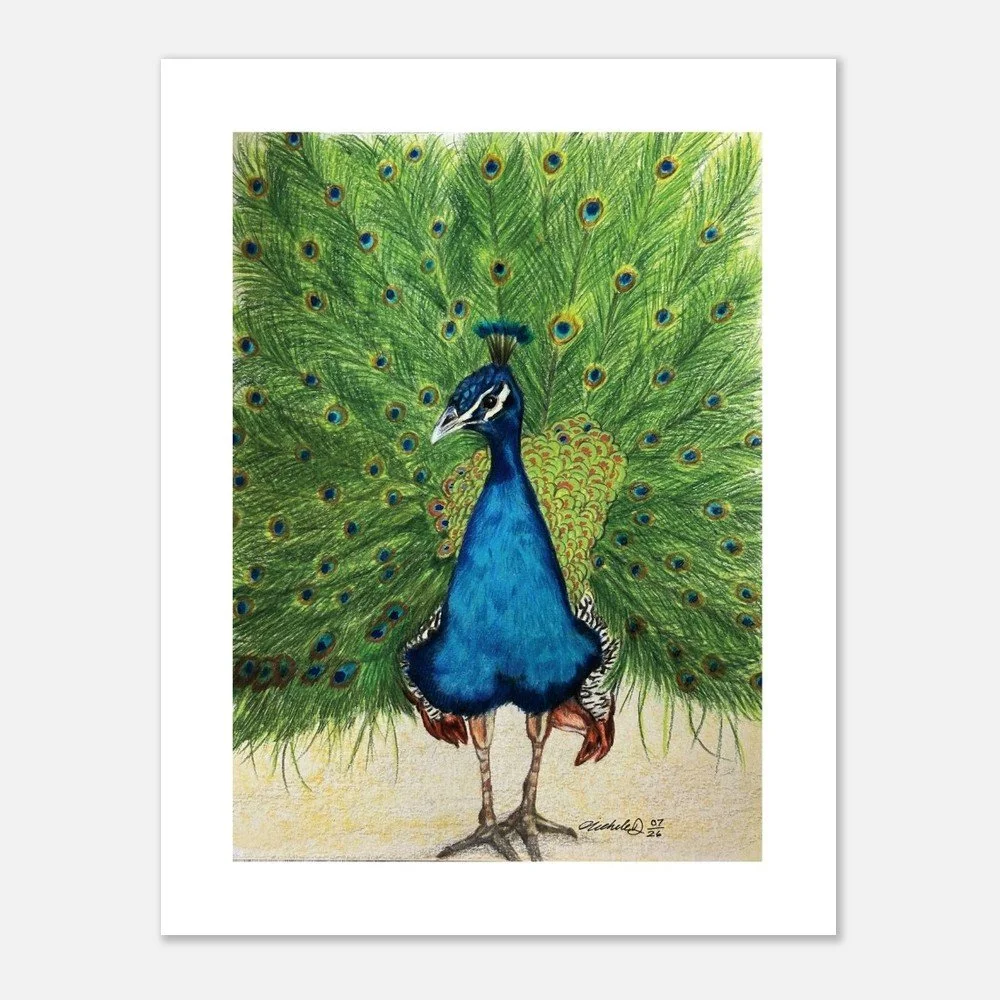 Peacock Art Print – Wildlife Artwork