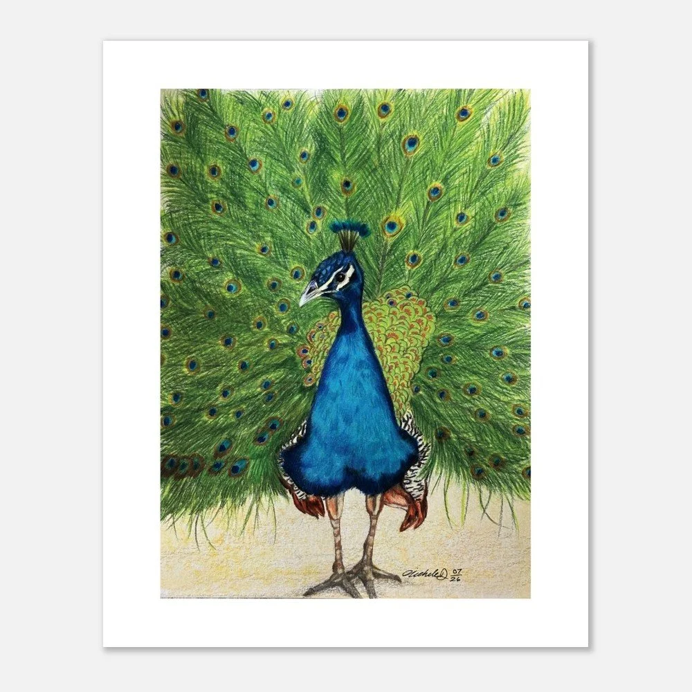 Peacock Art Print – Wildlife Artwork