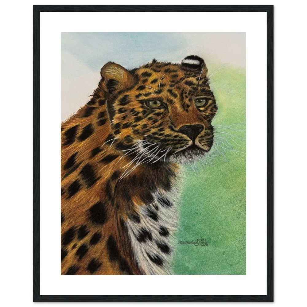 Framed Amur Leopard Art Print – Colour Pencil Wildlife Wall Art