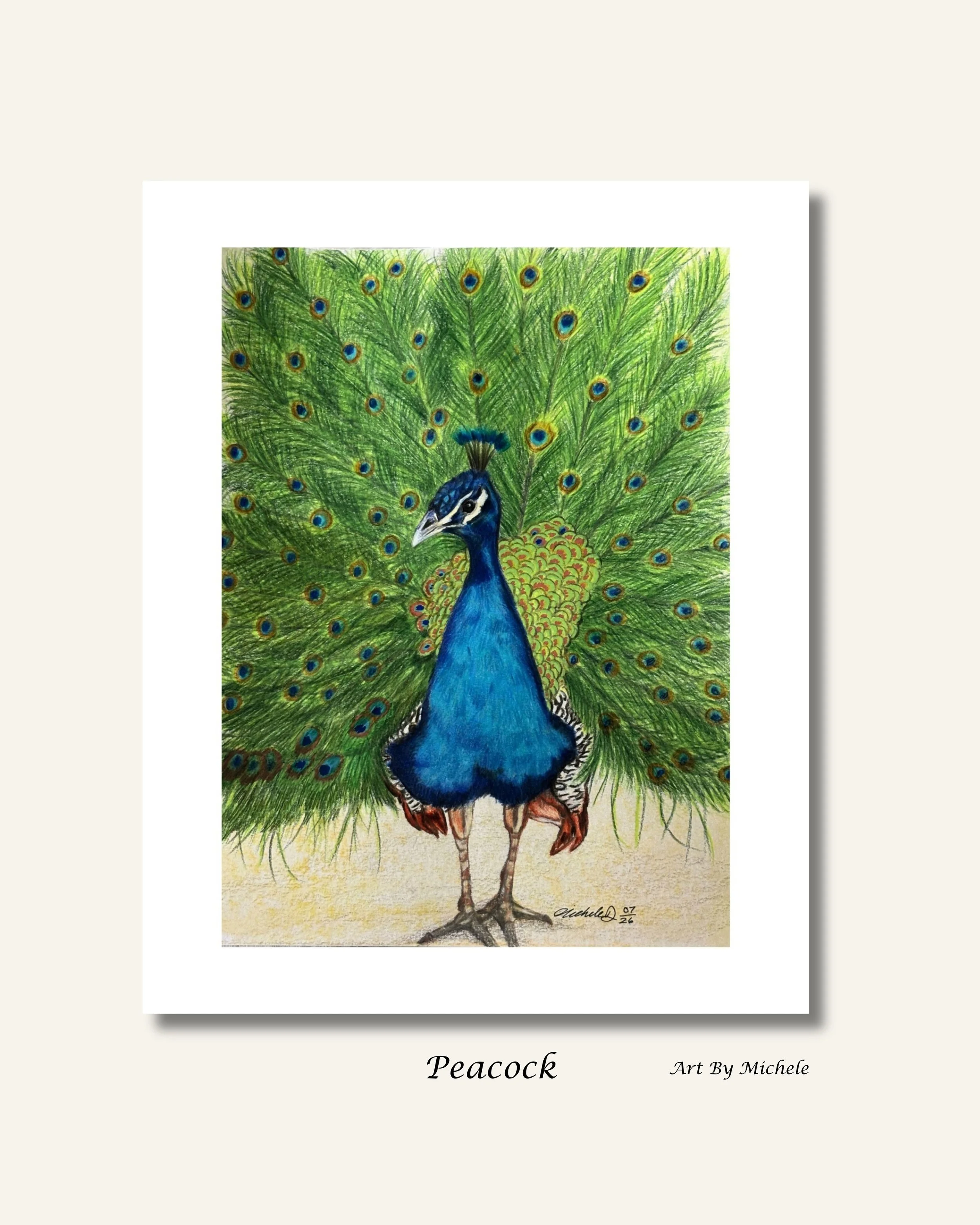 Kingfisher - 12.jpeg