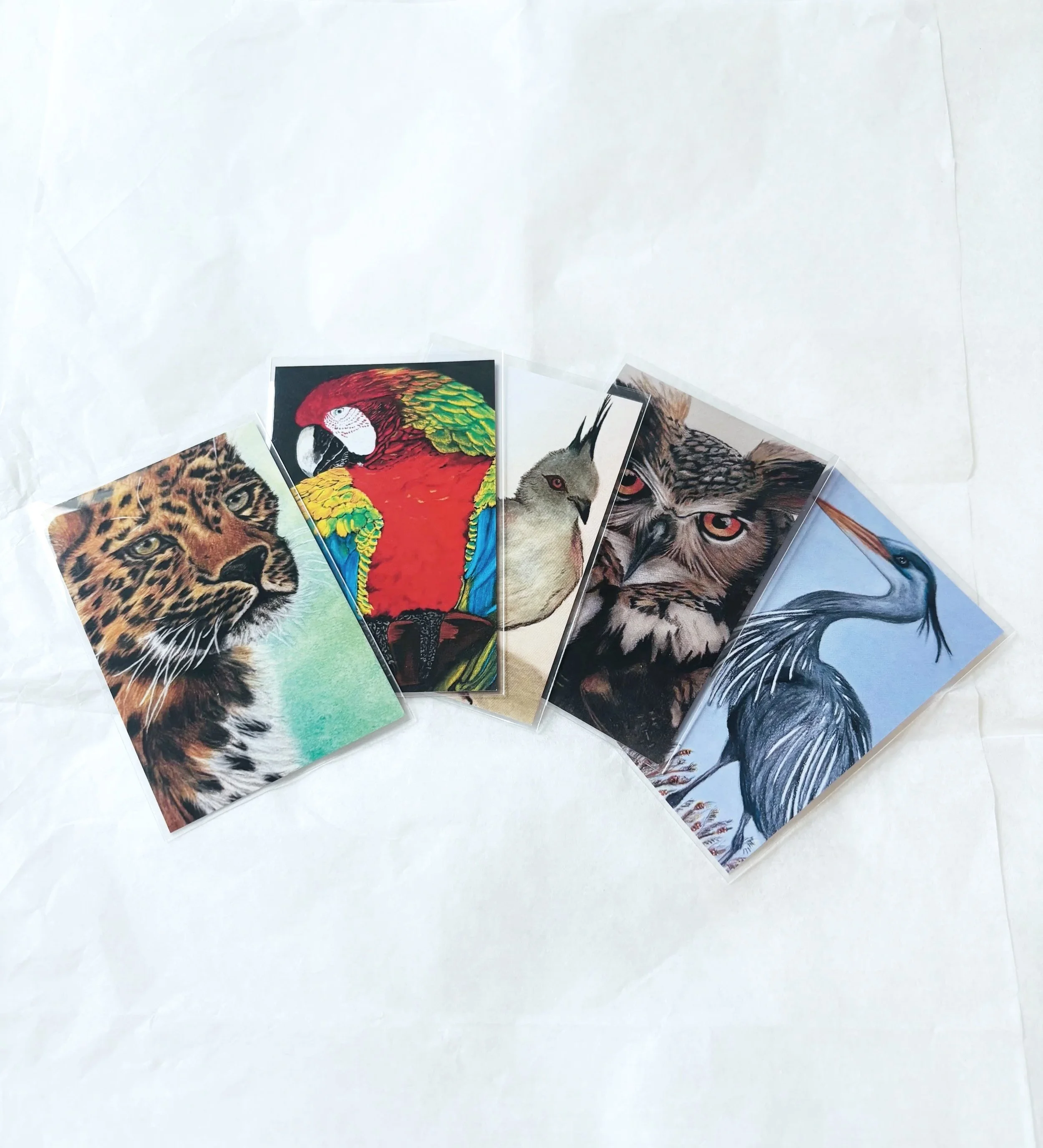 Wildlife Collection – Pocket Art Cards