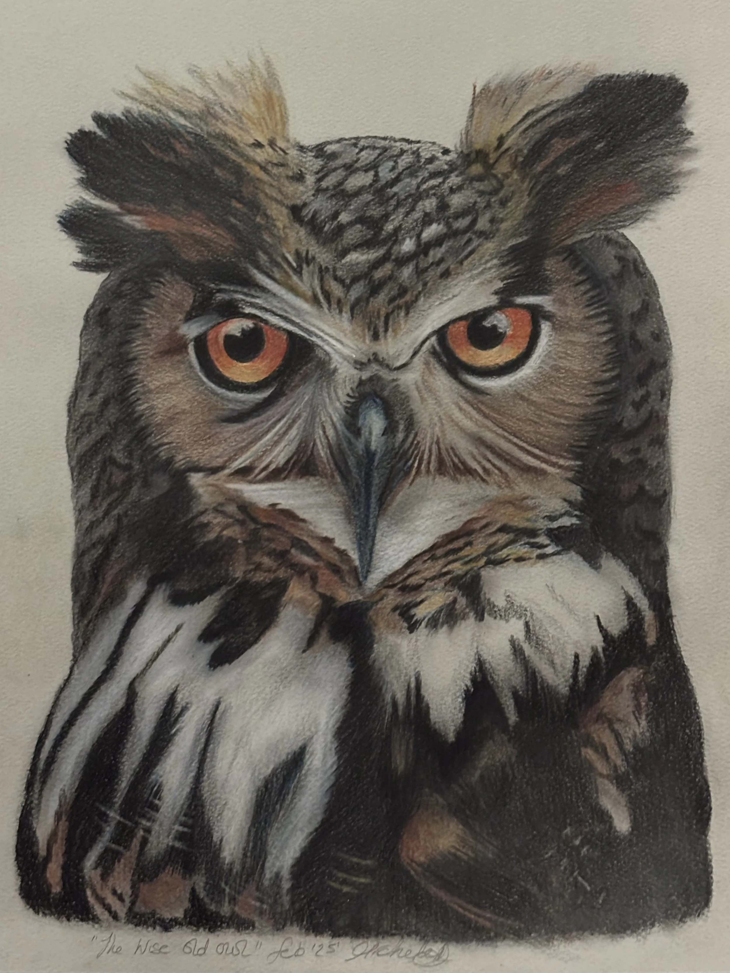 A colored pencil drawing of an owl with intense orange eyes, intricate feather details, and a serious expression.