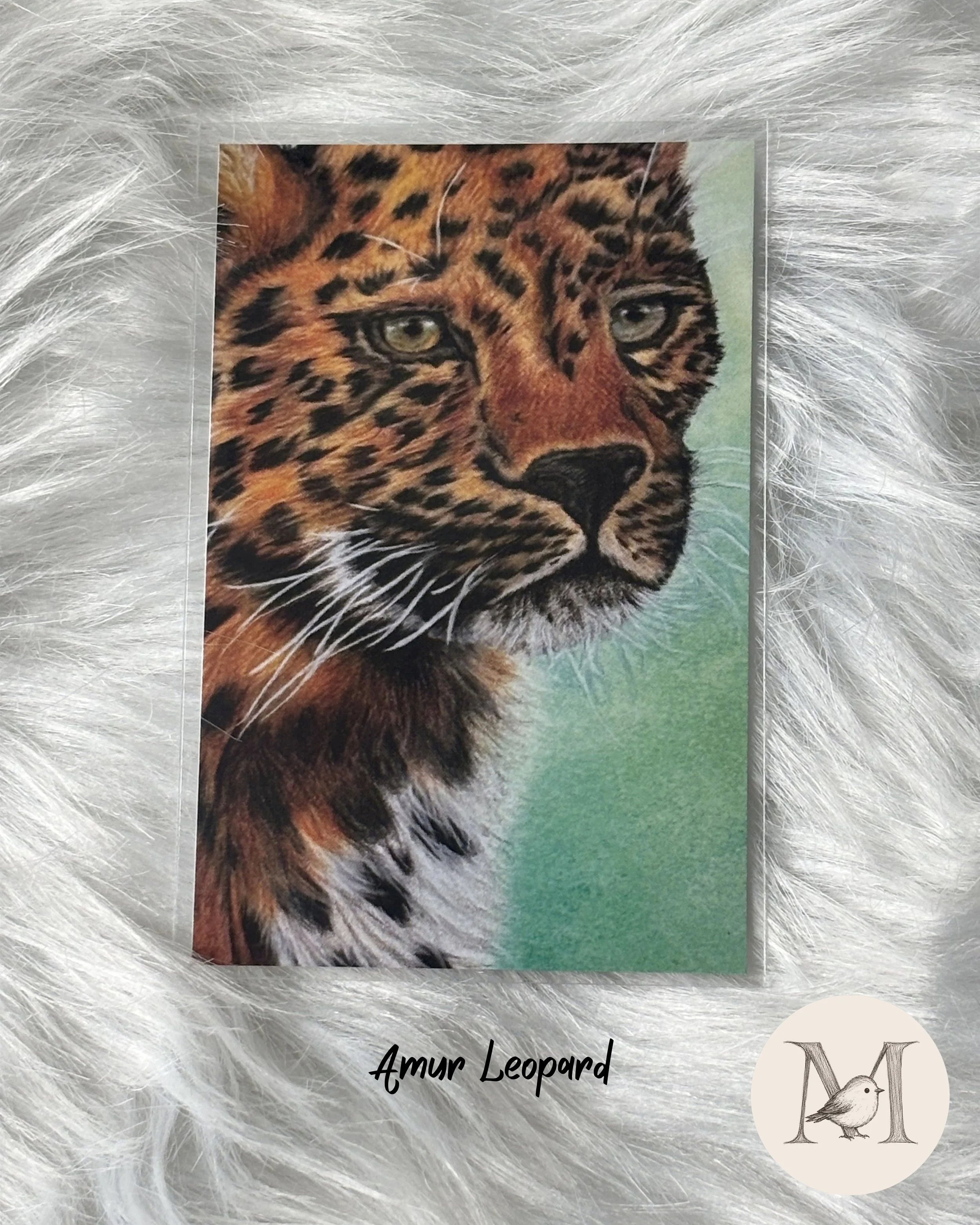 Amur Leopard - 1.jpeg