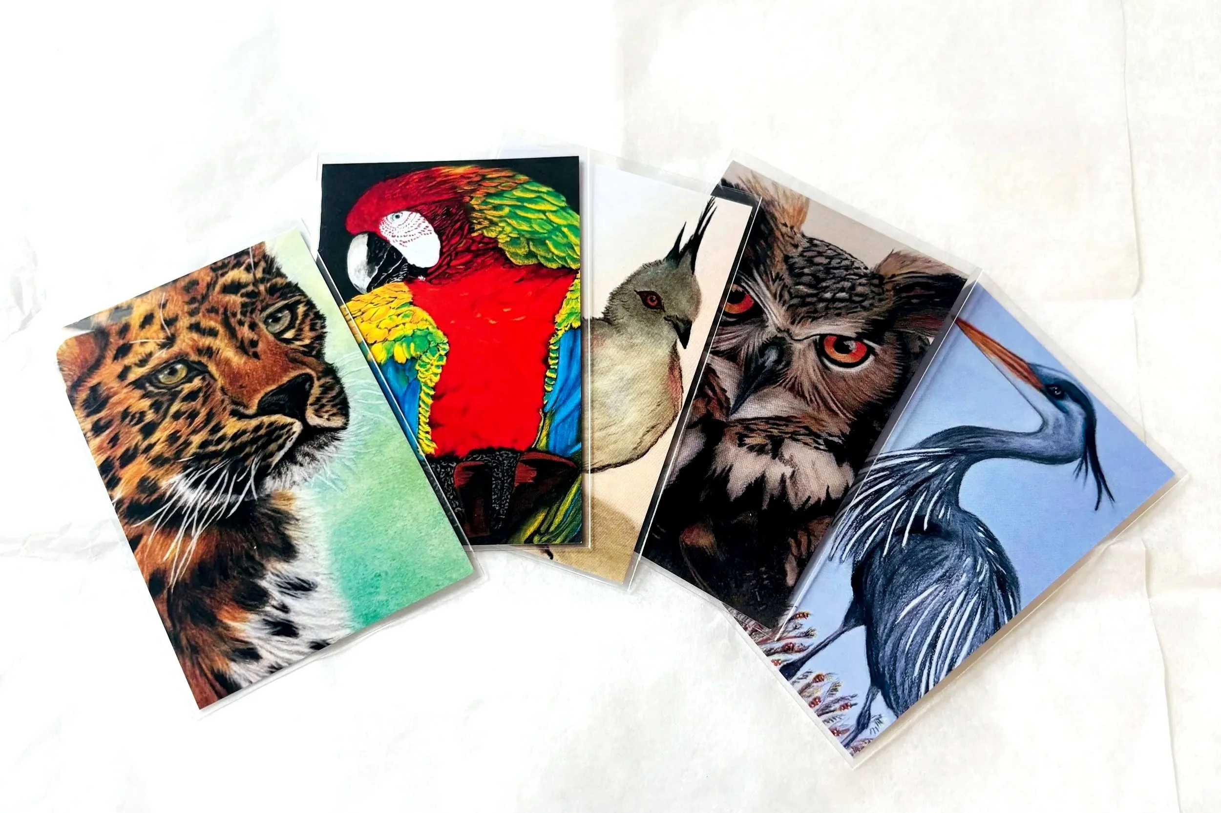 Collection of five illustrated cards featuring wild animal portraits, including a leopard, a parrot, a hawk, a wolf, and a heron.