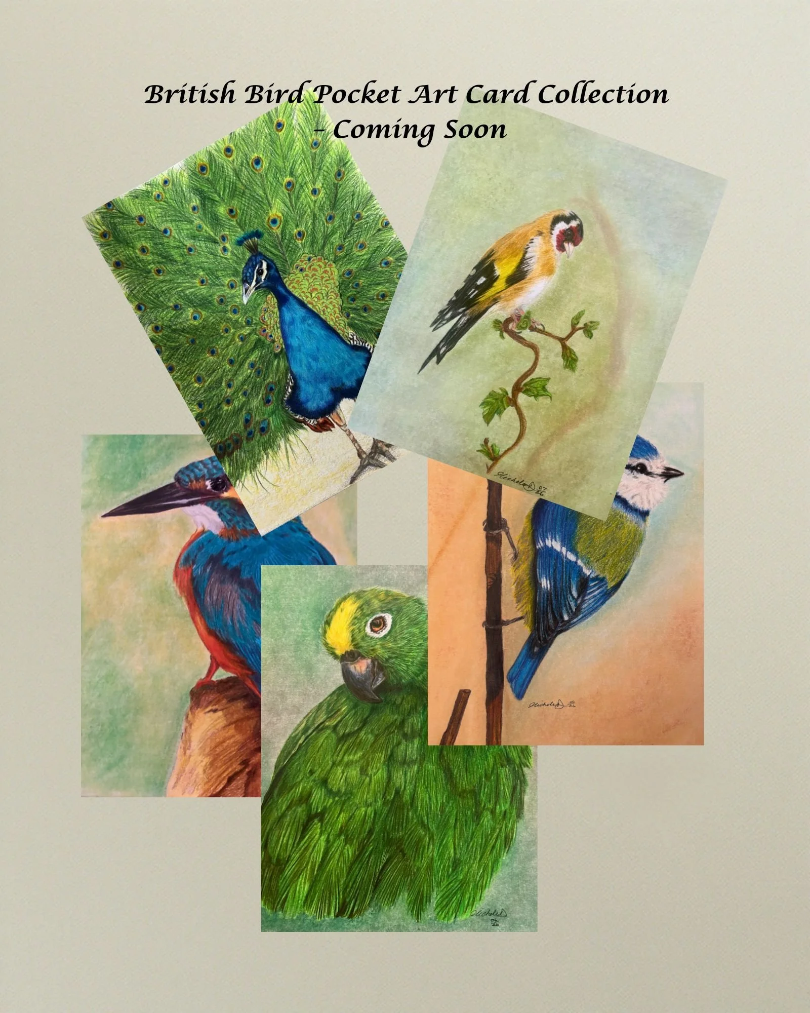 Bird Collection July 2026.jpeg