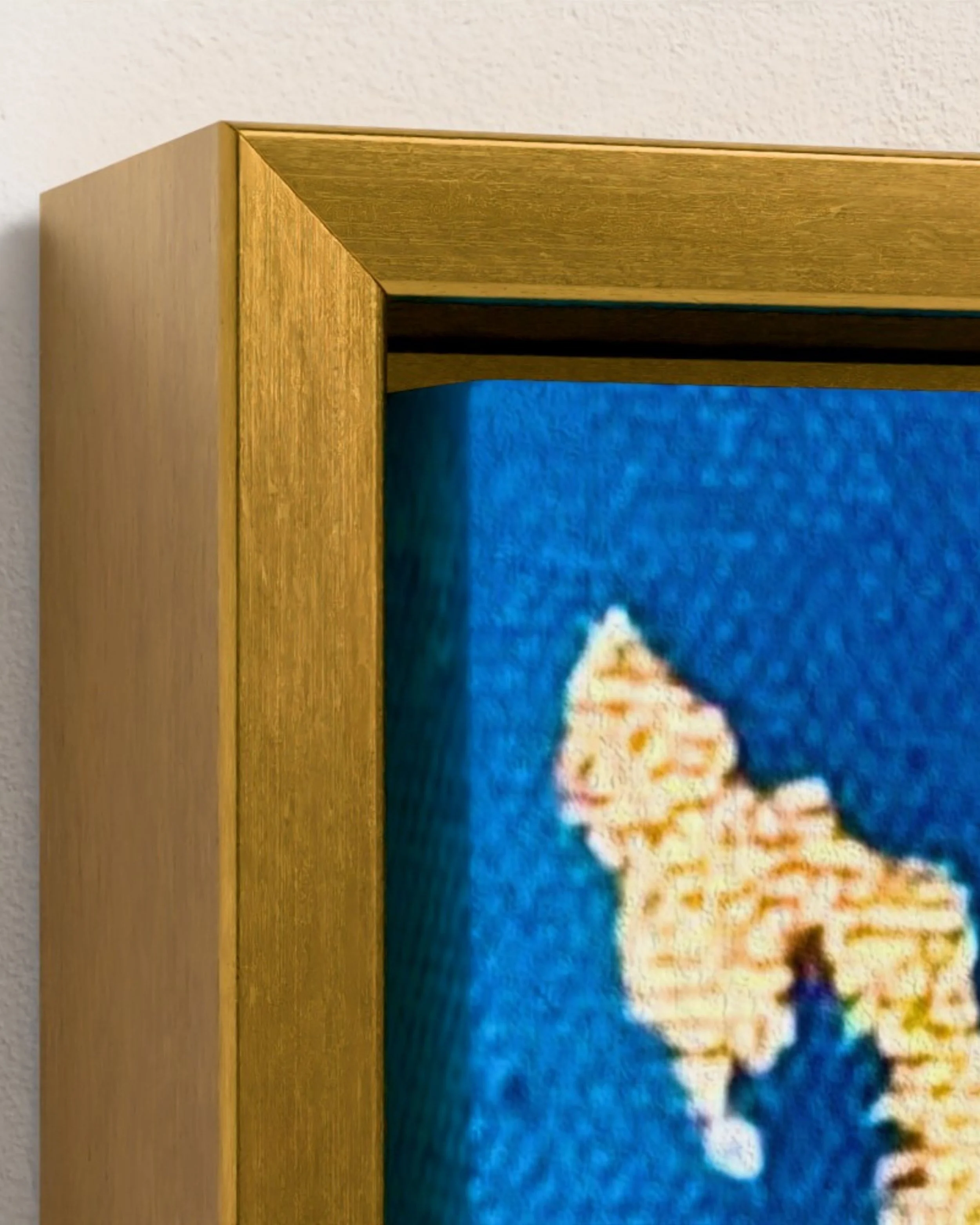 Canvas Print Mocks - 10.jpeg