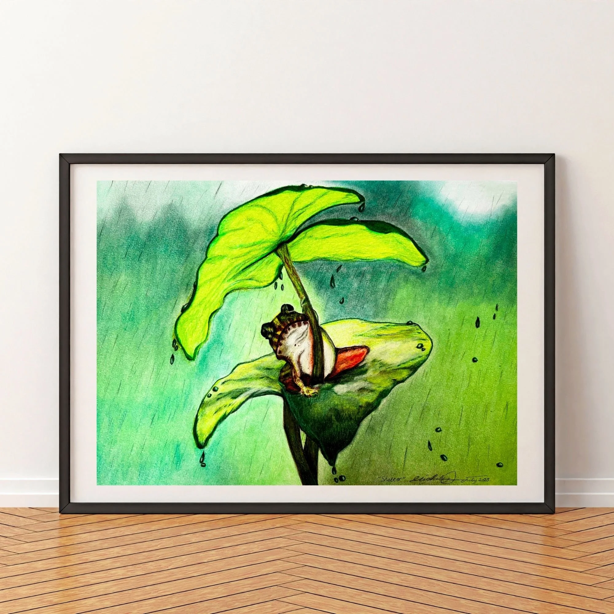 Artist Print - ‘Shelter’ Frog, Leaf Vibrant Print