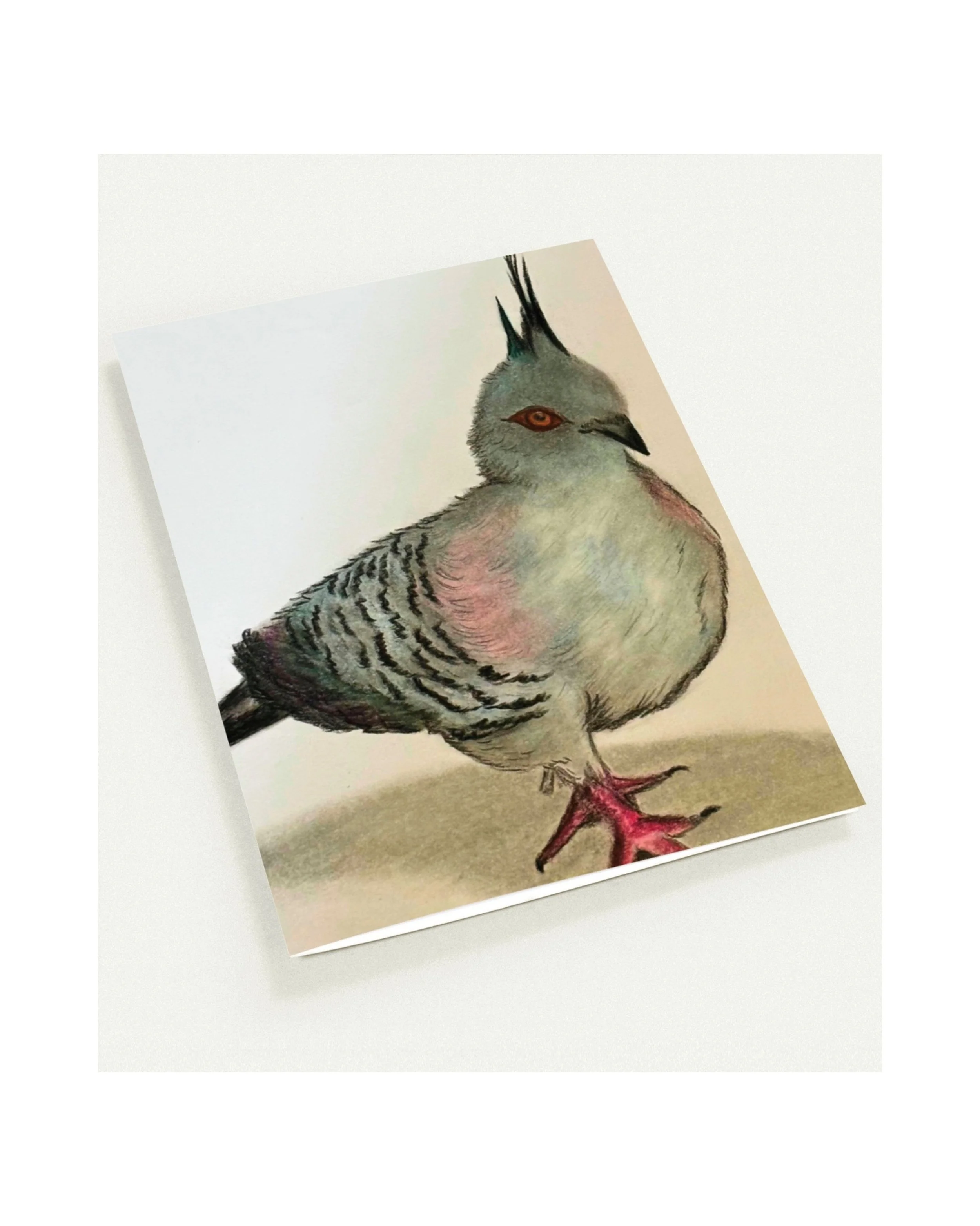 Greeting Cards on Writing Desk - 15.jpeg