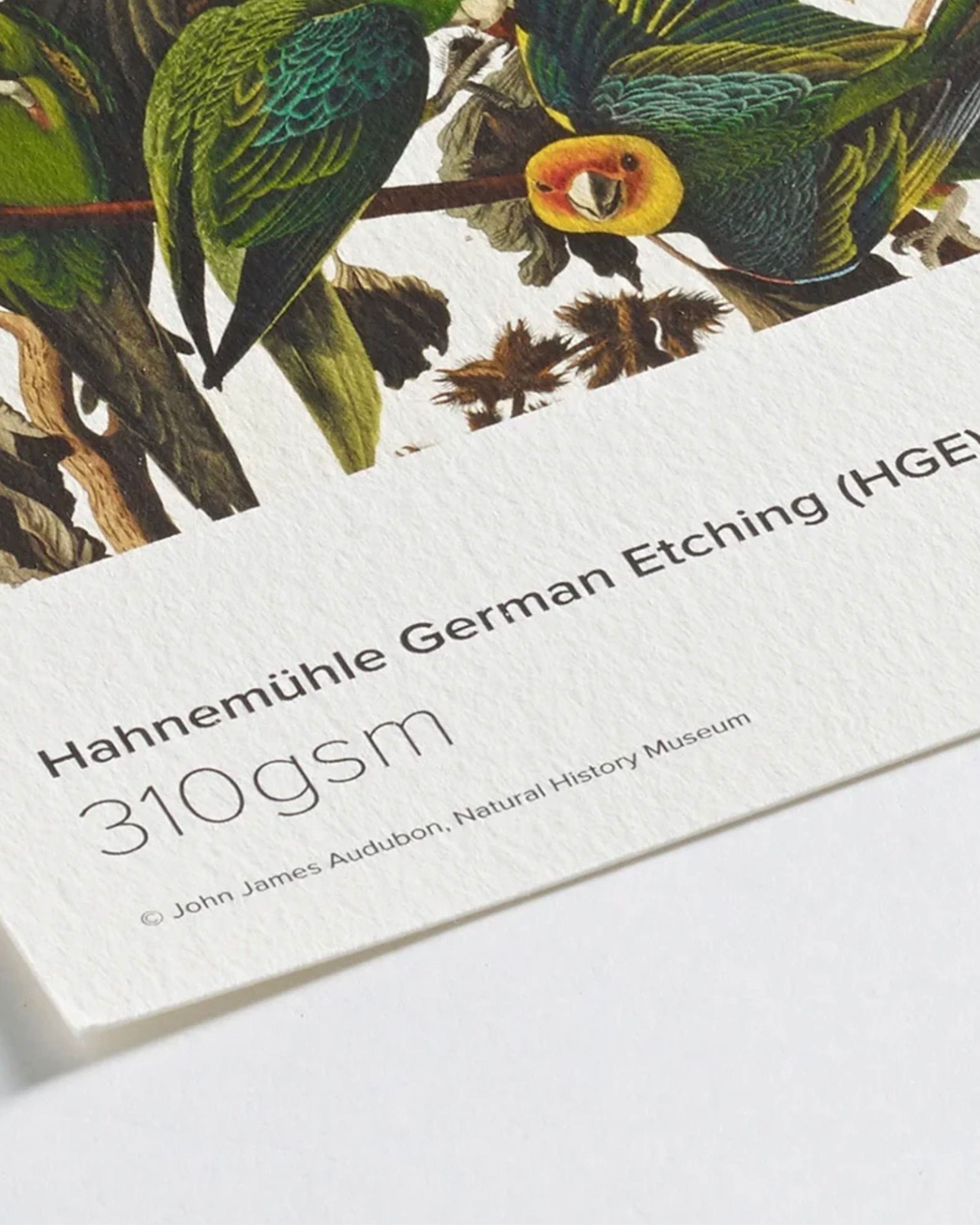 website limited print mocks - 3.jpeg