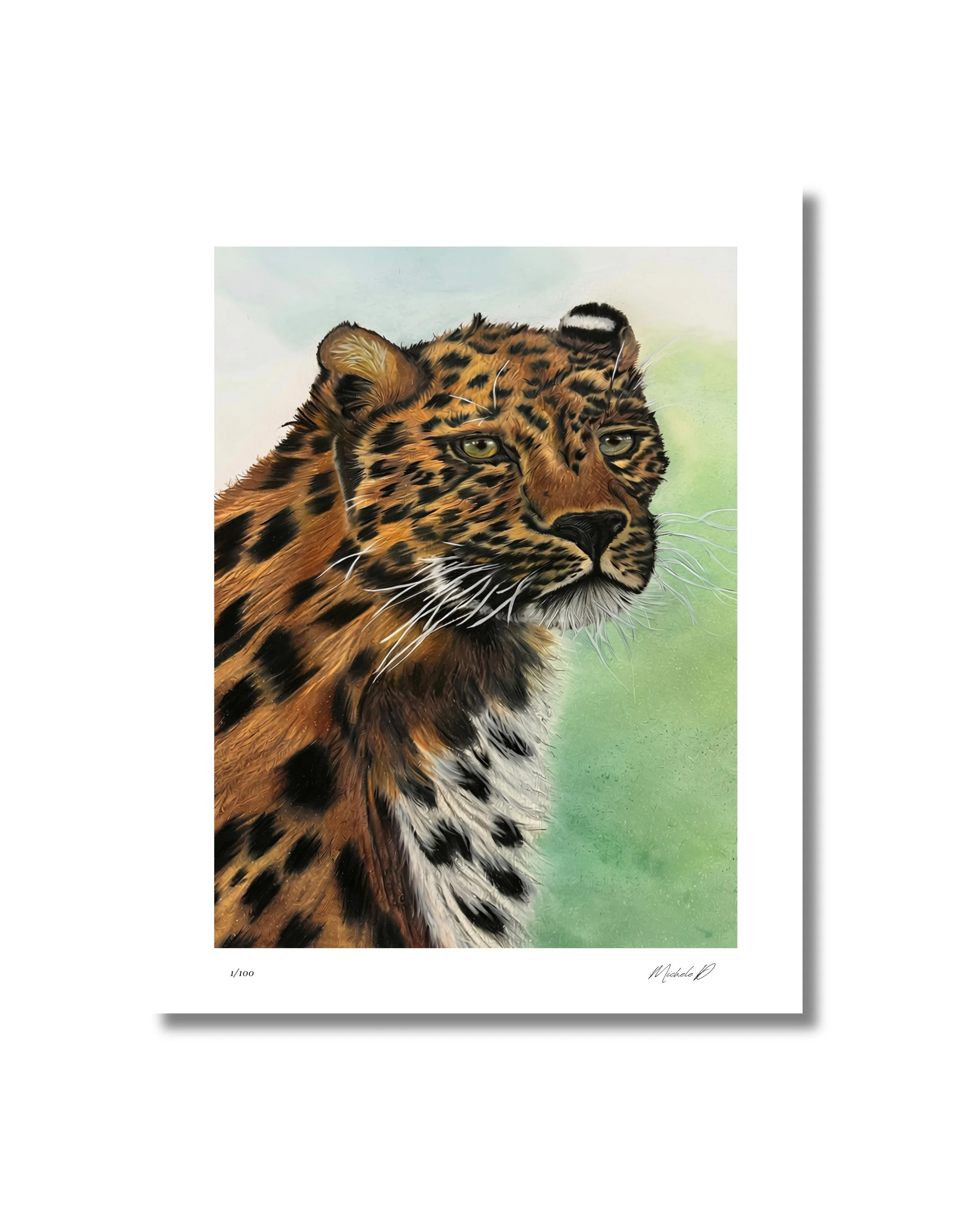 website limited print mocks - 7.jpeg