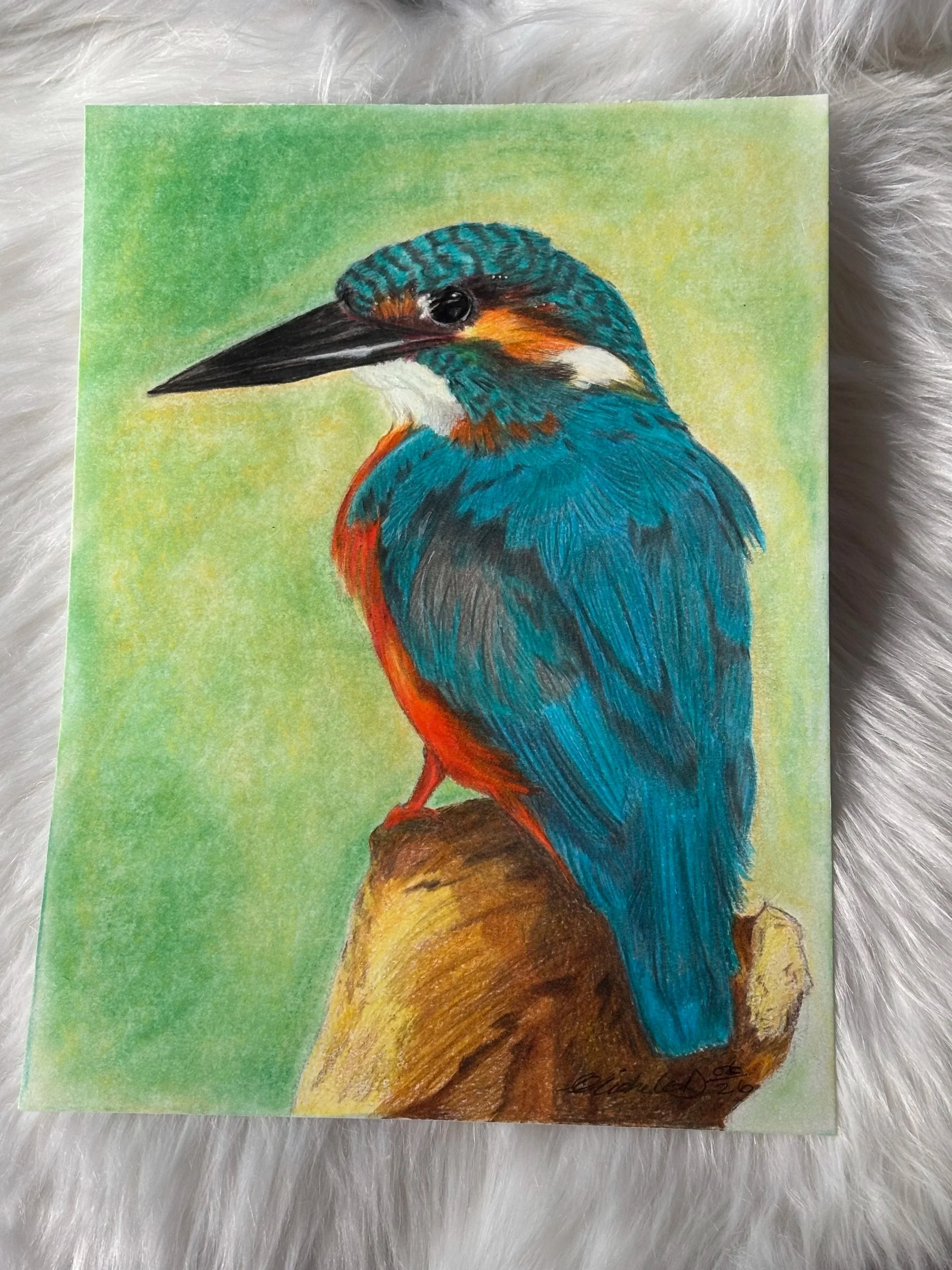 Original Kingfisher Drawing – Colour Pencil & Pastel Background