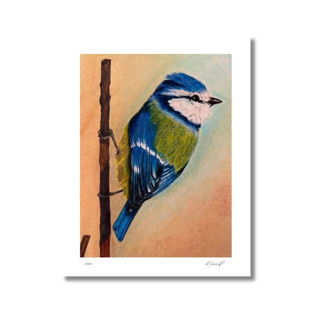 website limited print mocks - 28.jpeg