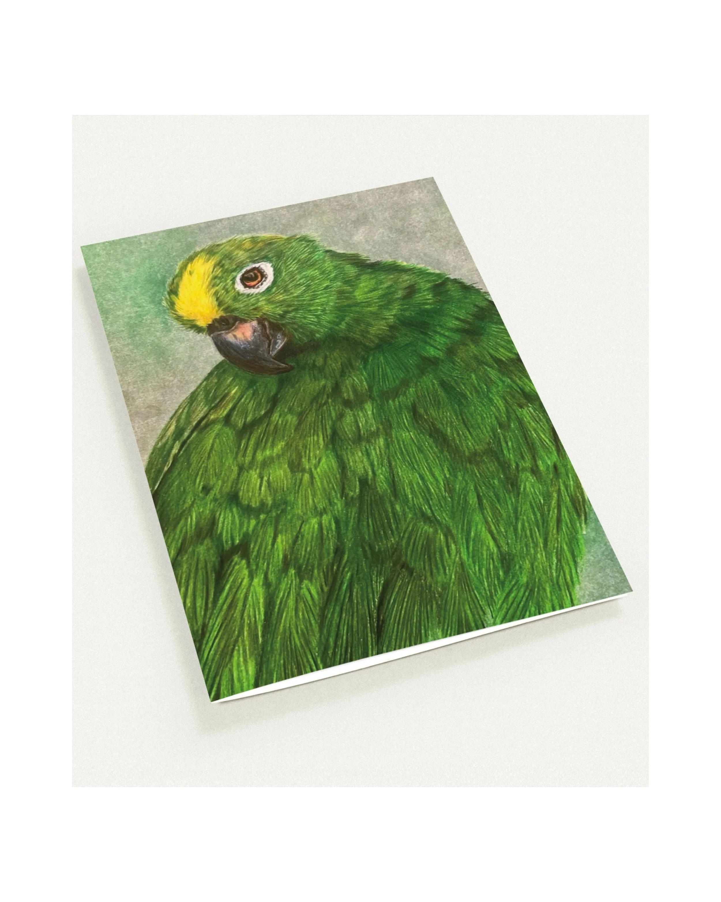Greeting Cards on Writing Desk - 5.jpeg
