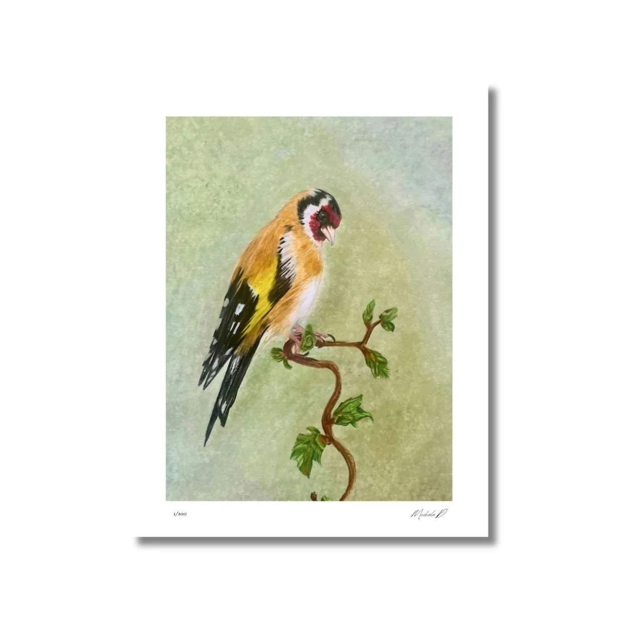 website limited print mocks - 23.jpeg