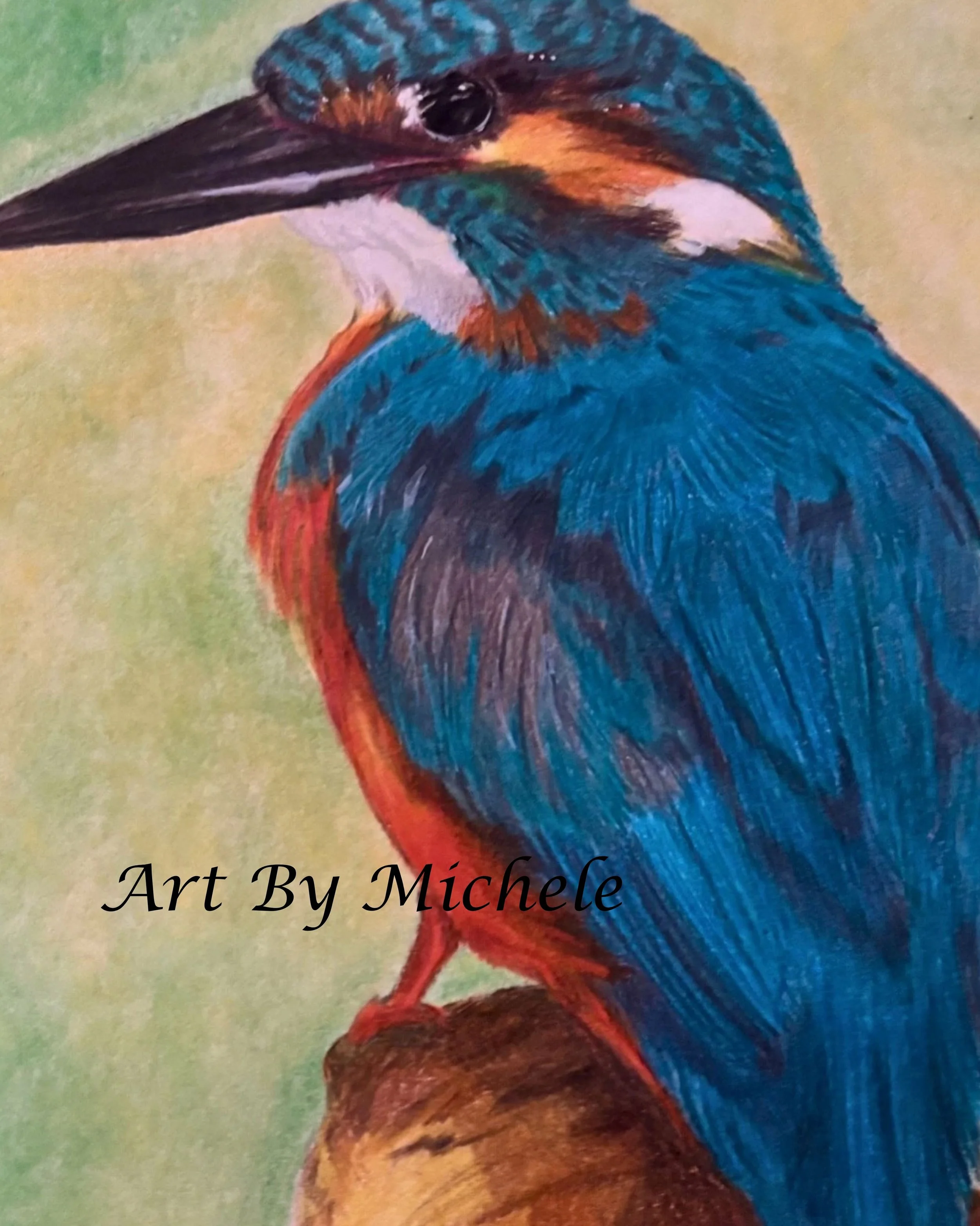 Kingfisher - 4.jpeg