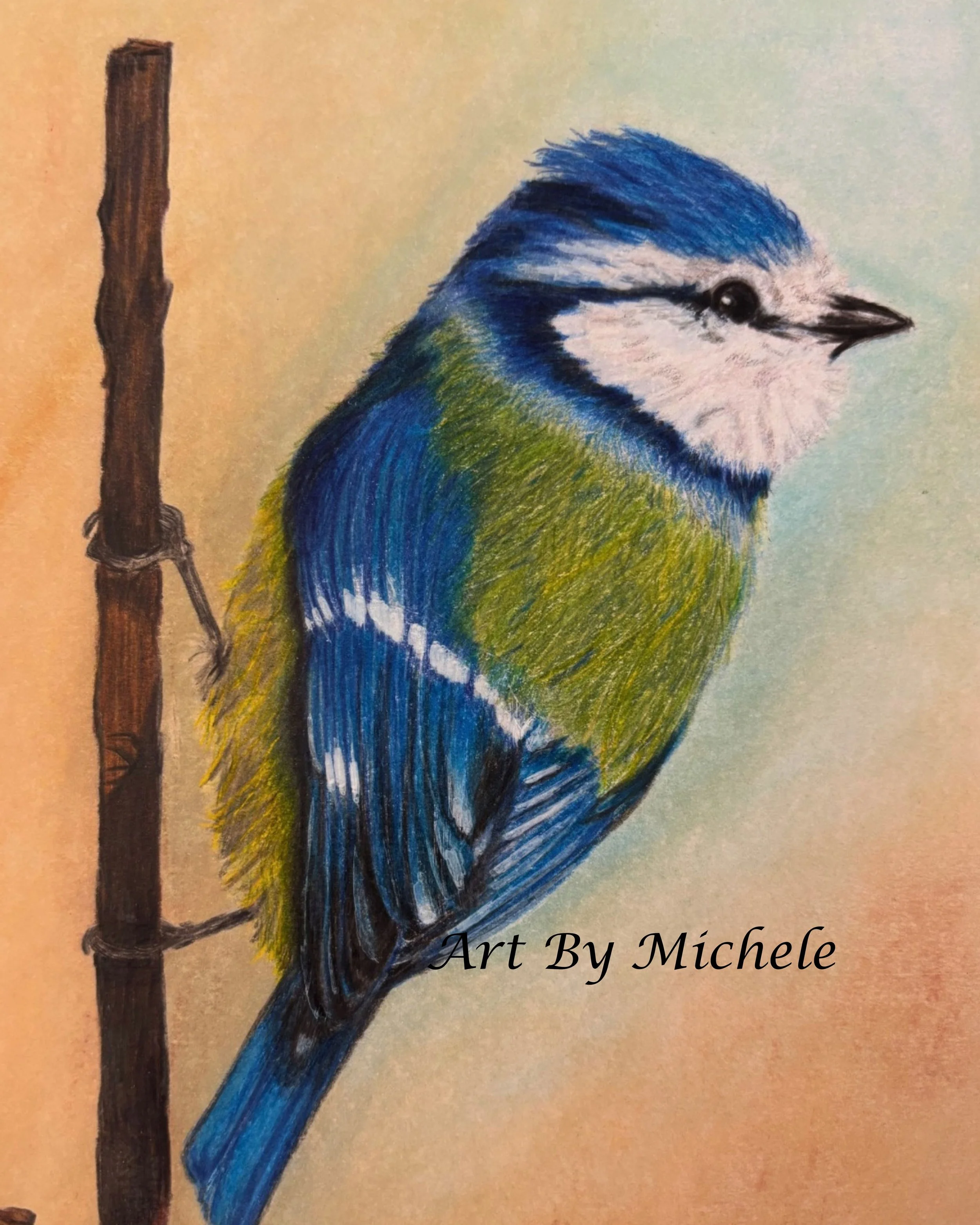 Kingfisher - 11.jpeg