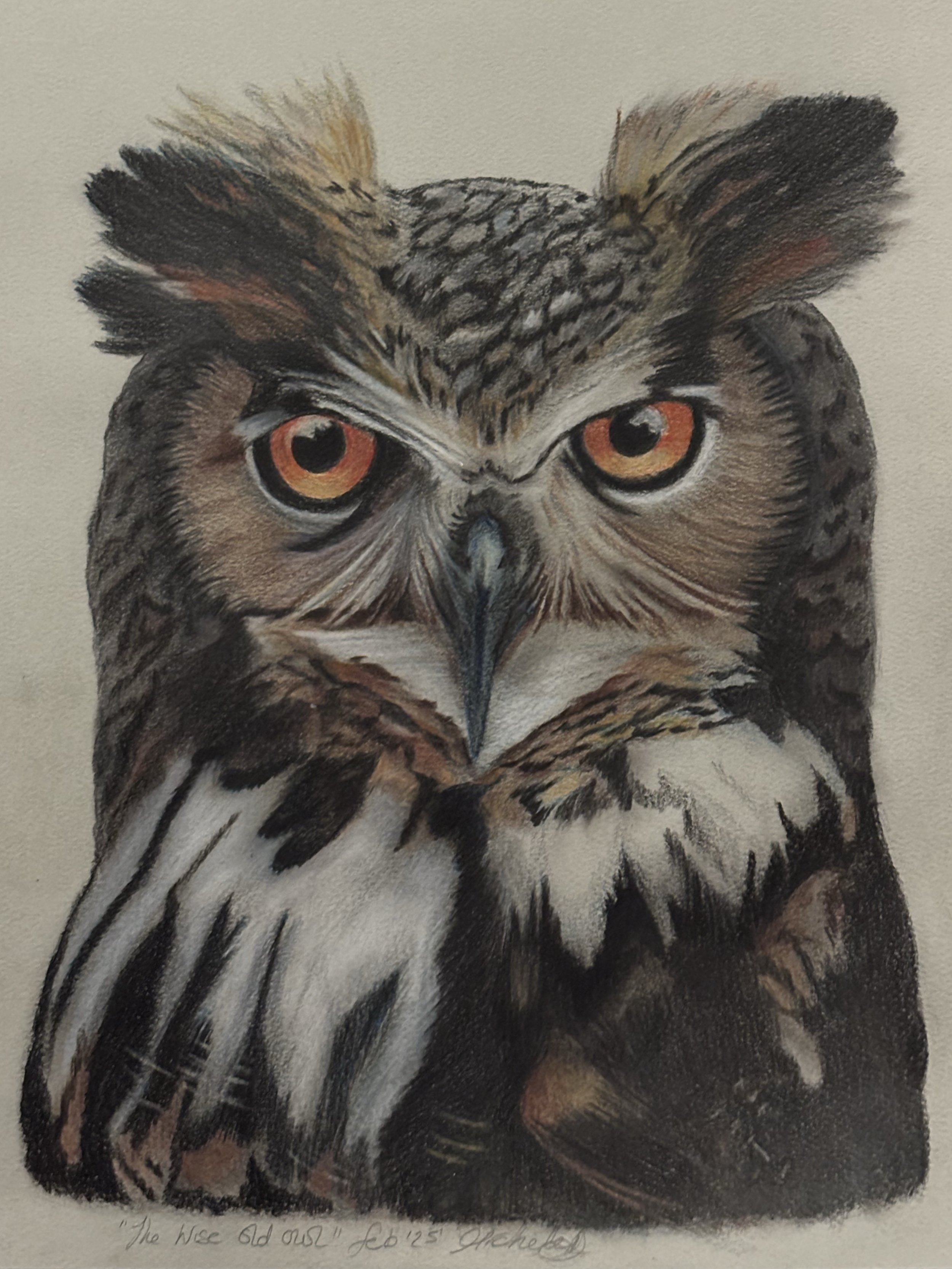 A realistic coloured artwork of an eagle owl with piercing orange eyes, detailed feathers, and a intense gaze.