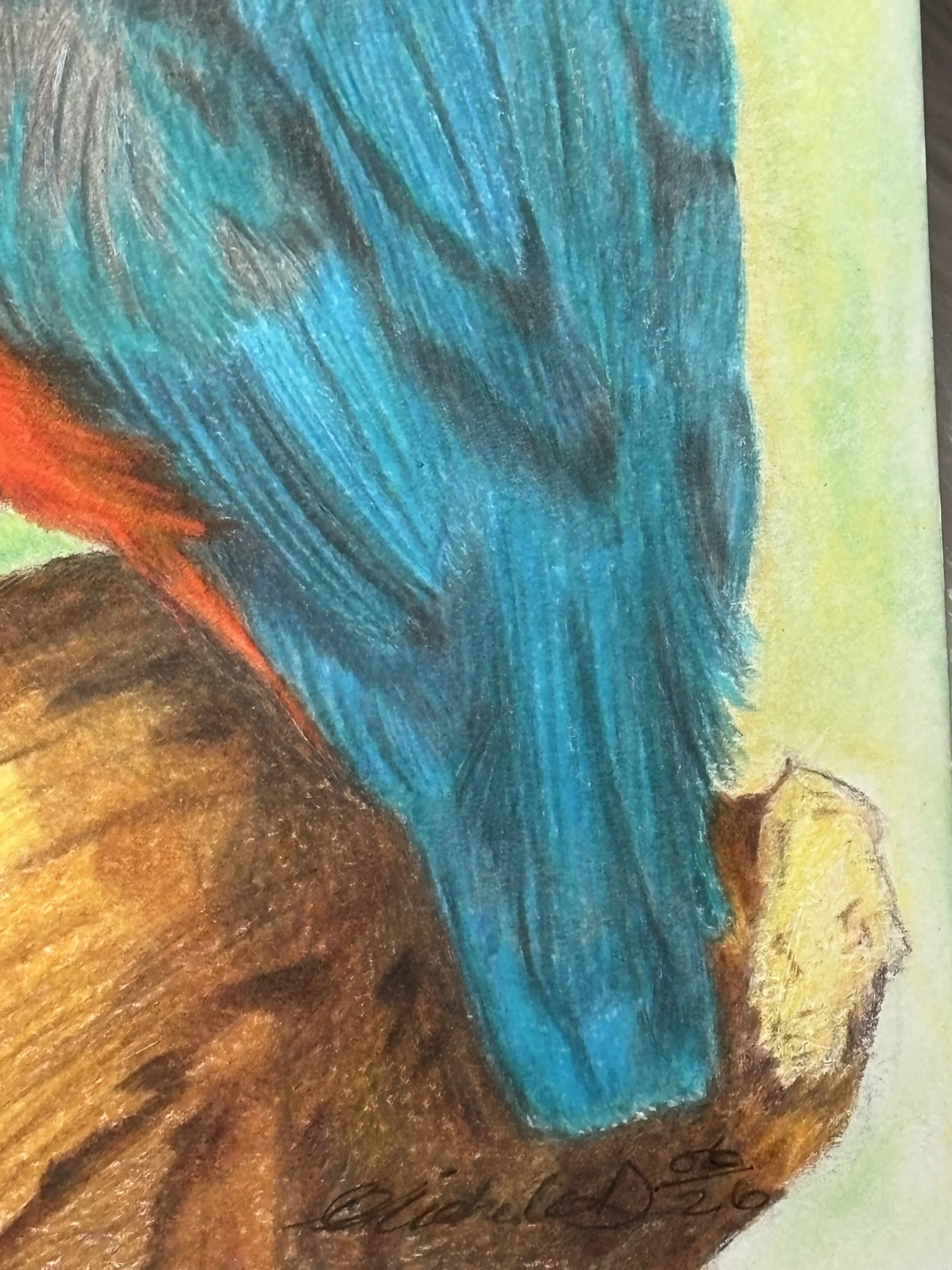 IMG_2296.jpeg