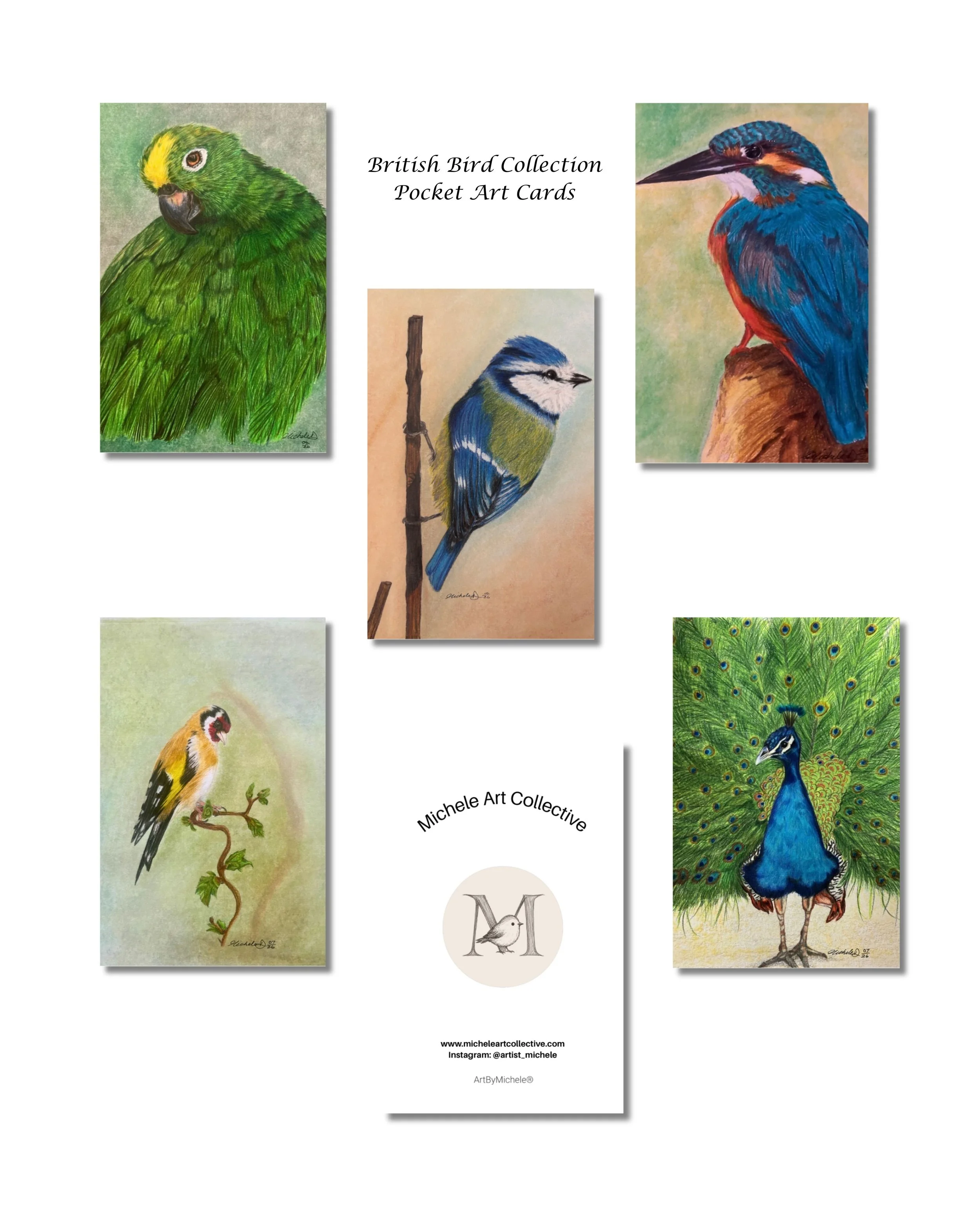 Collection of hand-drawn artwork featuring various birds, including a green parrot, a blue-and-orange kingfisher, a blue tit, a finch, and a peacock, with text indicating "British Bird Collection Pocket Art Cards" and website links.