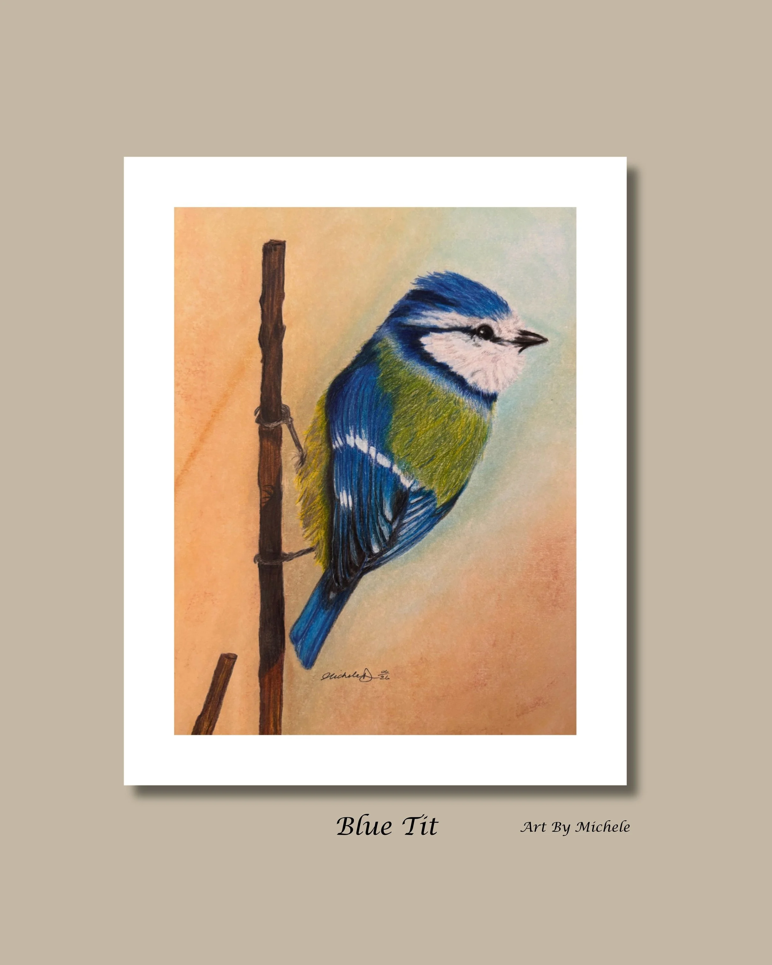 Kingfisher - 9.jpeg
