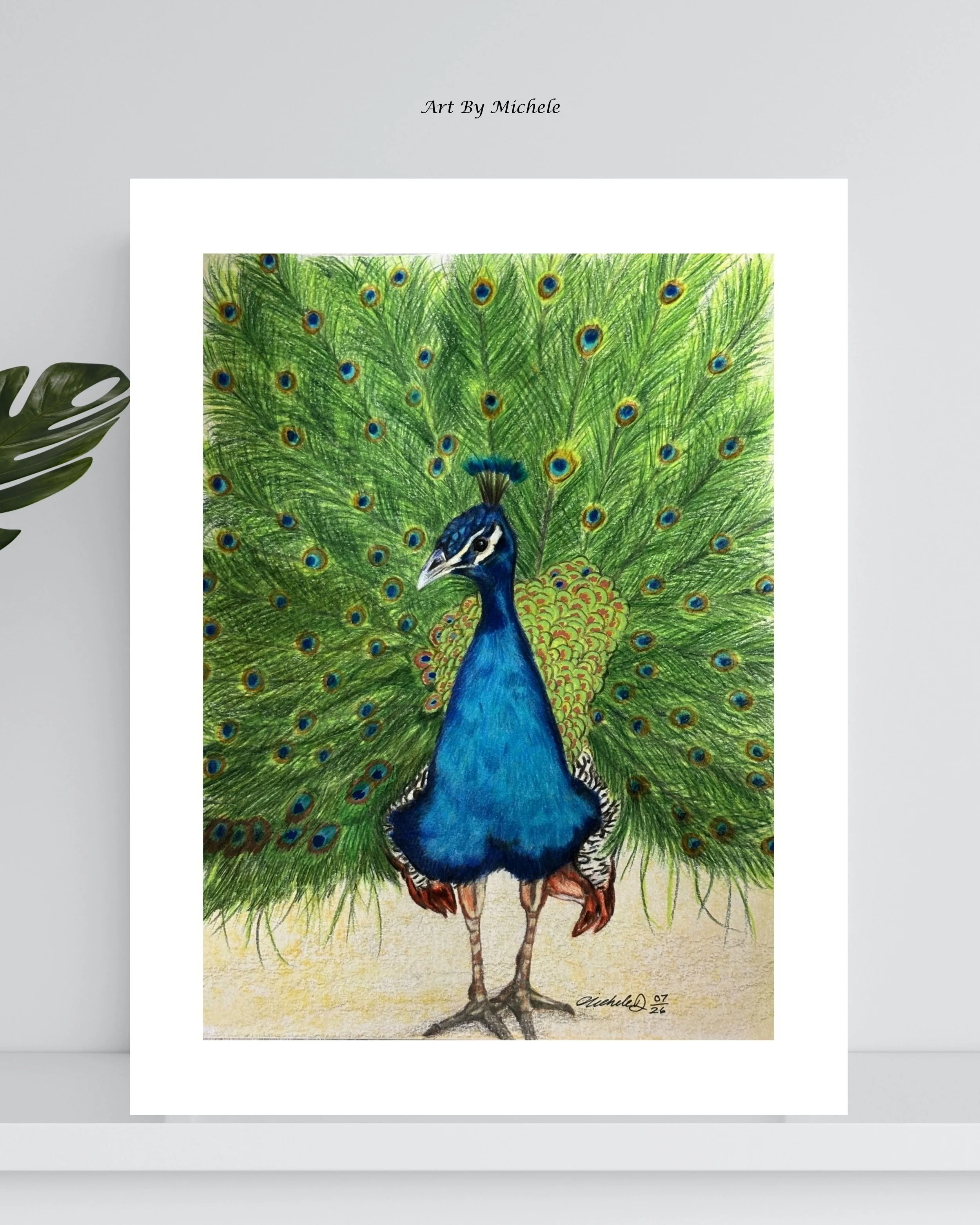 Peacock Art Print – Wildlife Artwork