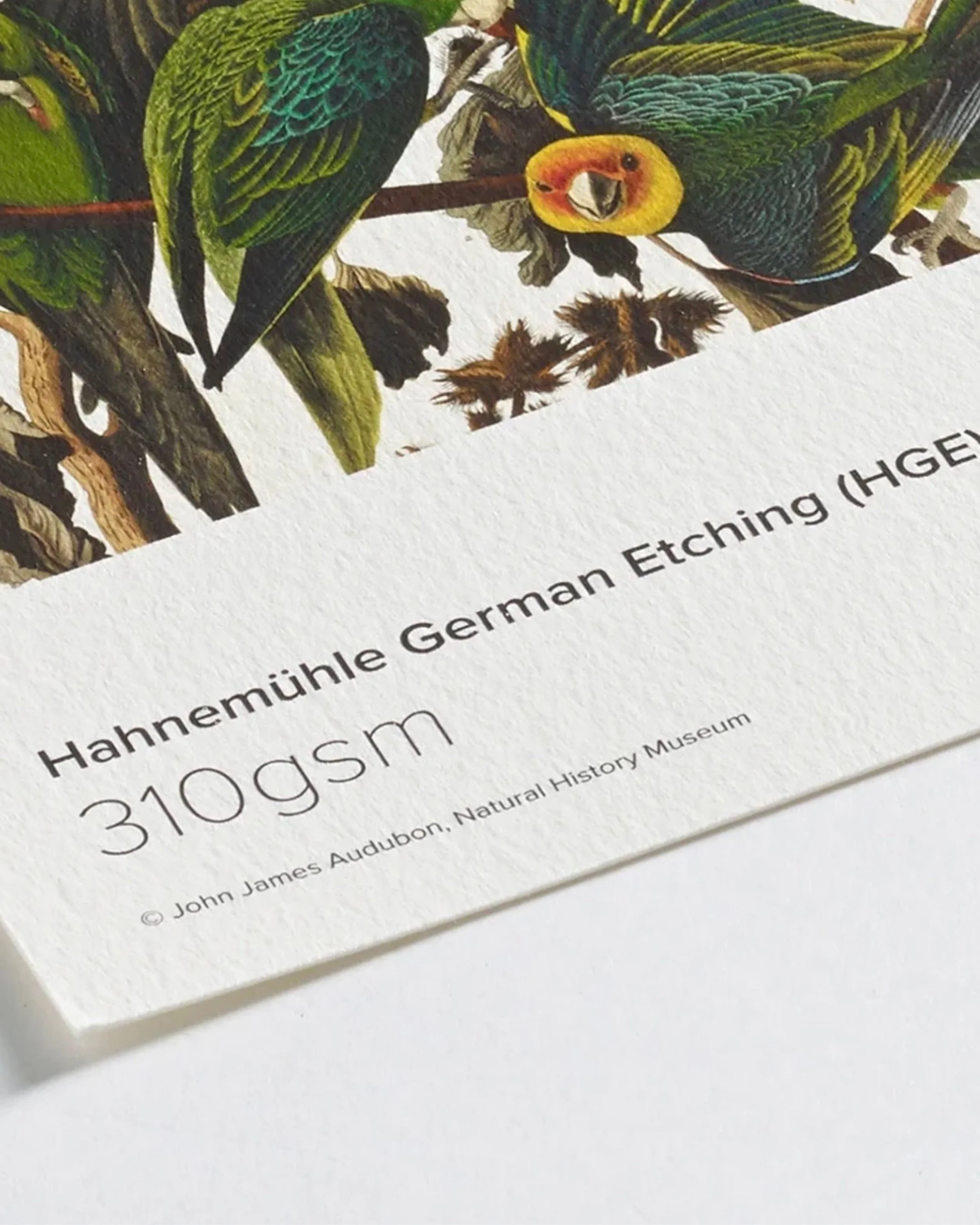 website limited print mocks - 3.jpeg