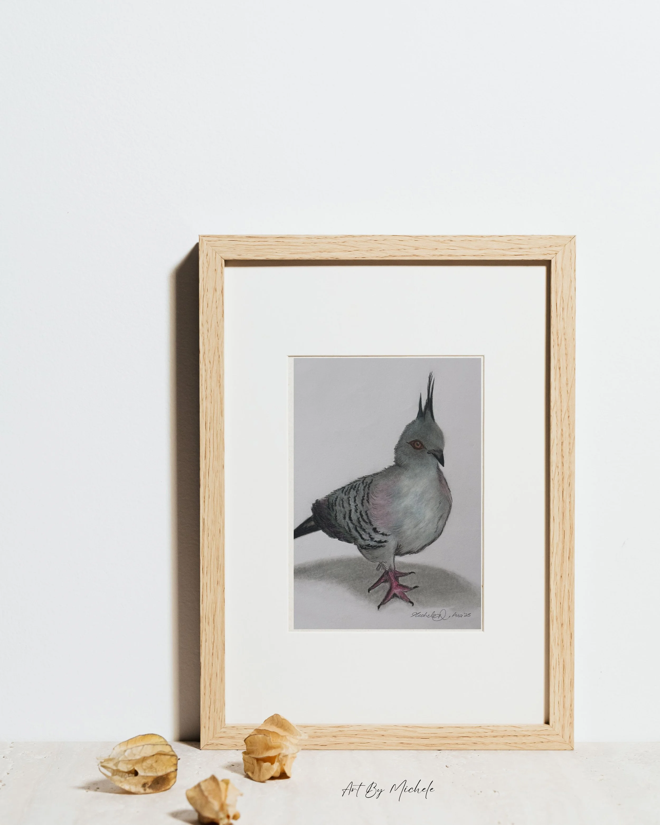 Crested Pigeon Art 15x20cm Original Drawing