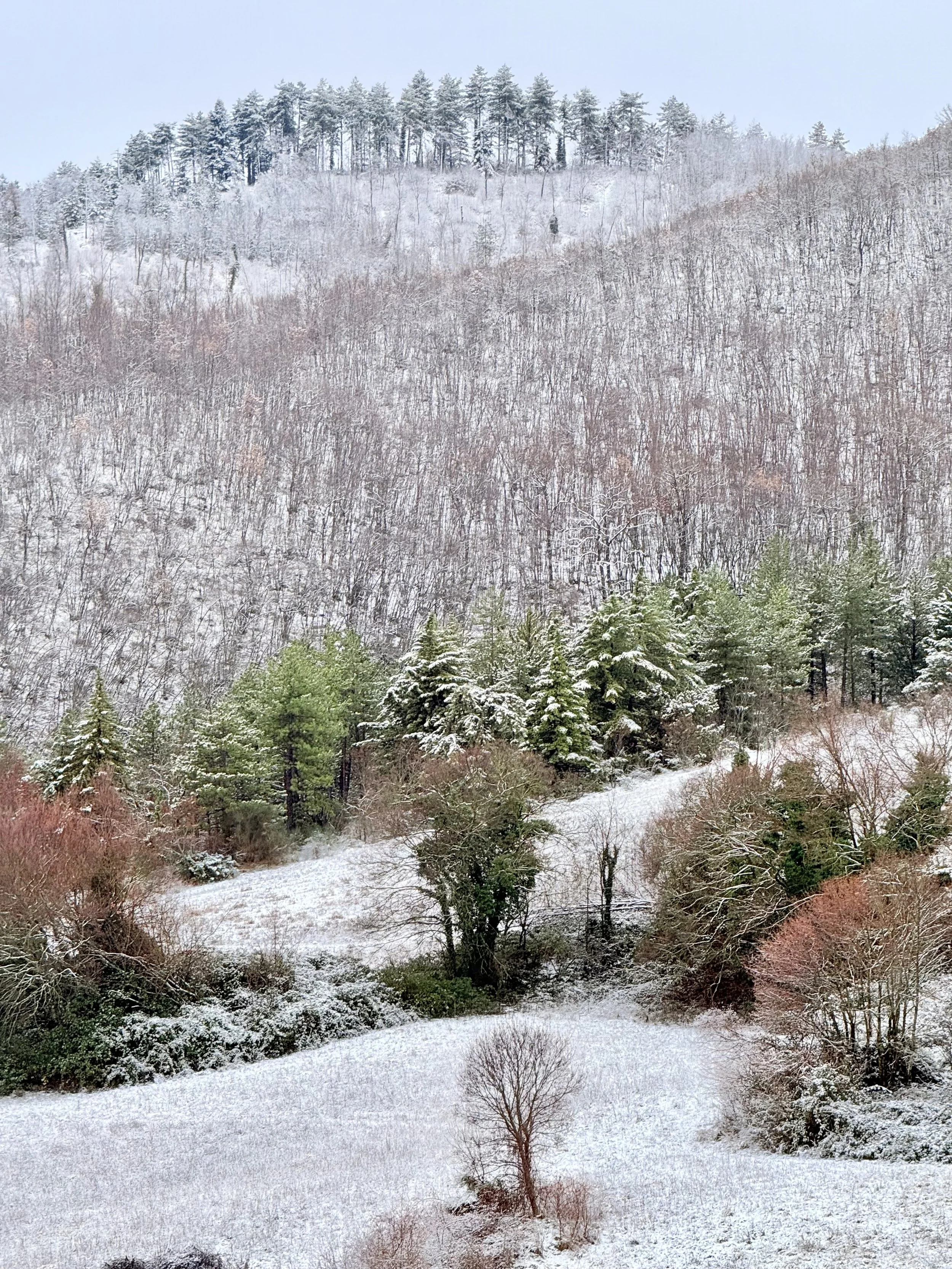 Snow-dusted Umbrian countryside