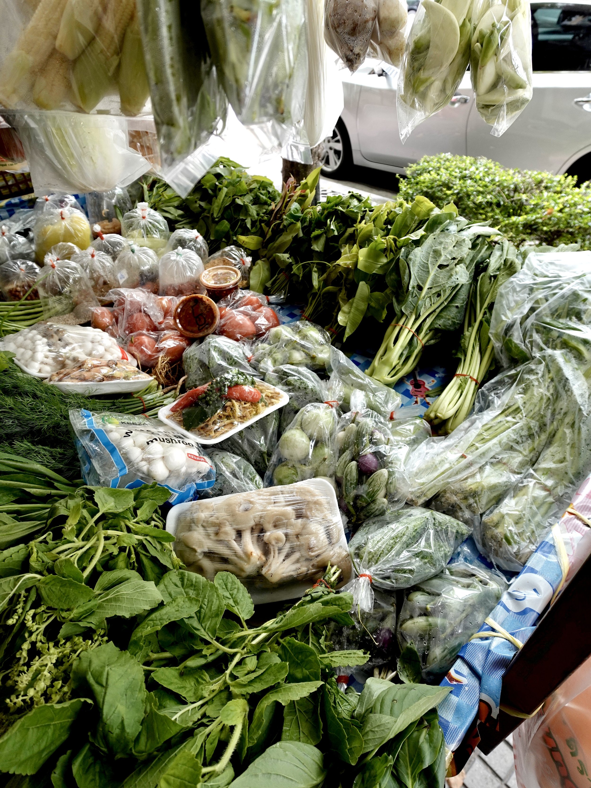 A vegetable cart densely packed with leafy greens, mushrooms, tomatoes and aubergines, with bags of produce hanging above.