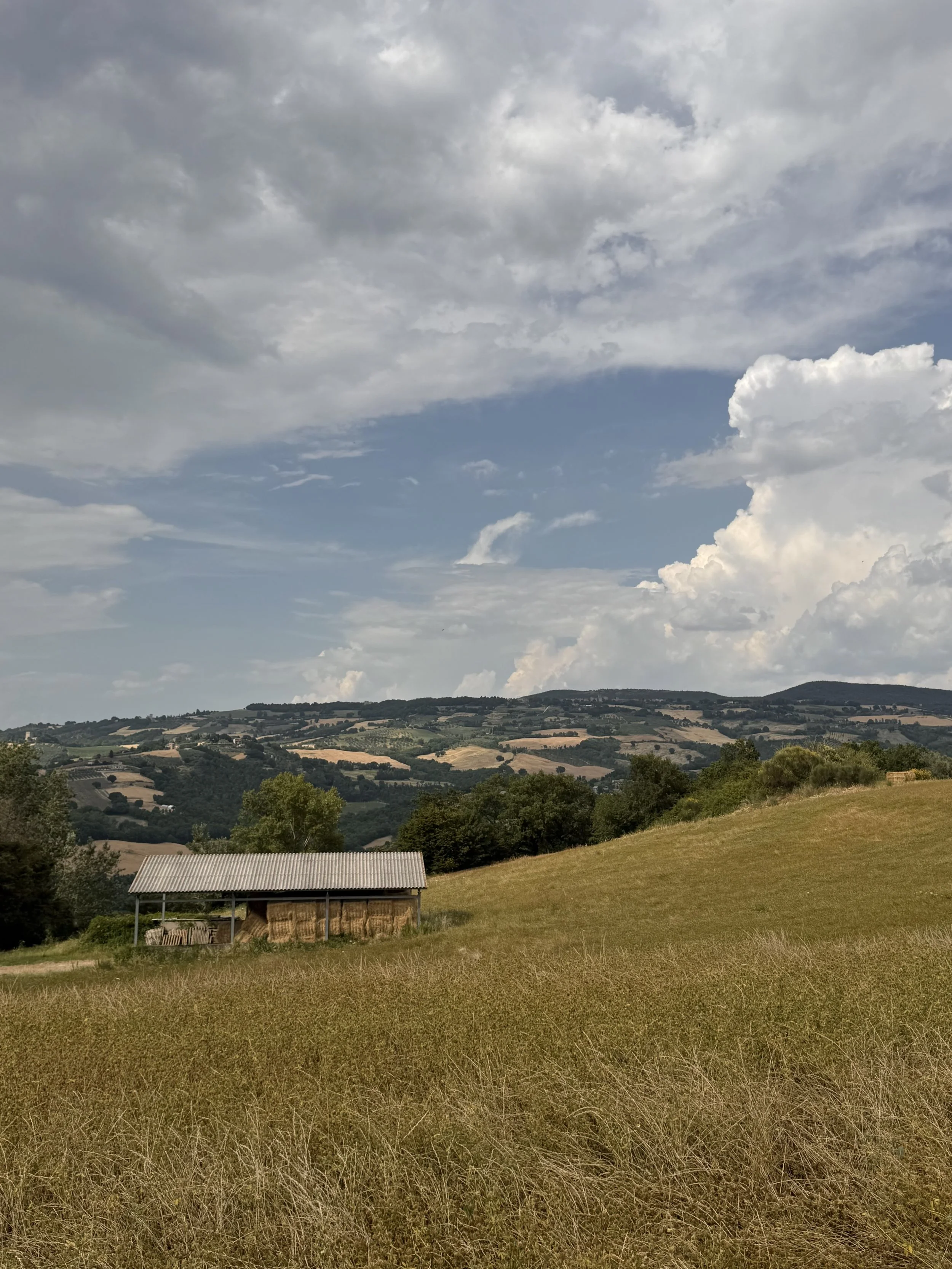 Umbria countryside