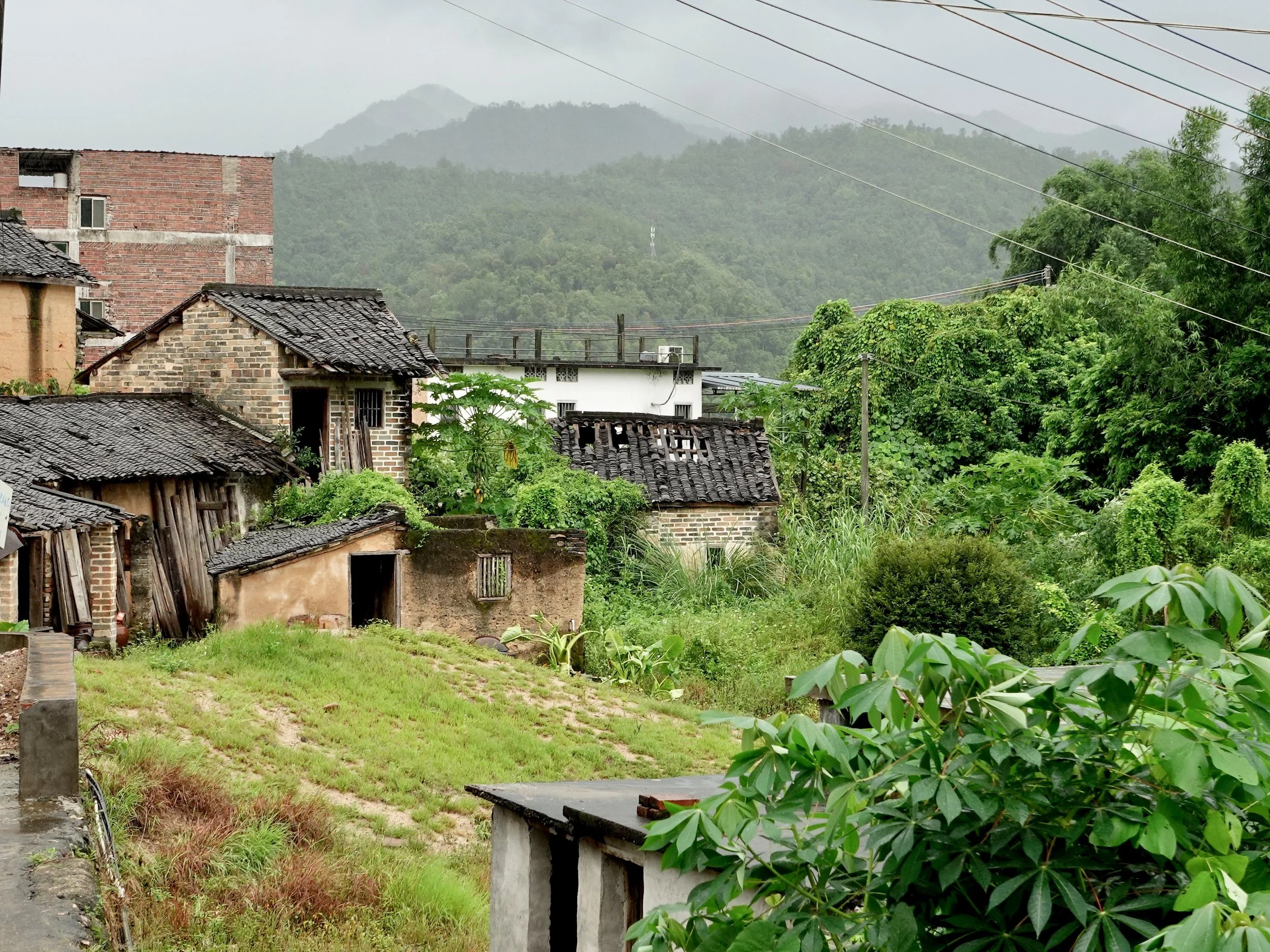 The remains of the author’s grandfather’s former home in Anle Village, surrounded by vegetation and other rural houses beneath the mountains.