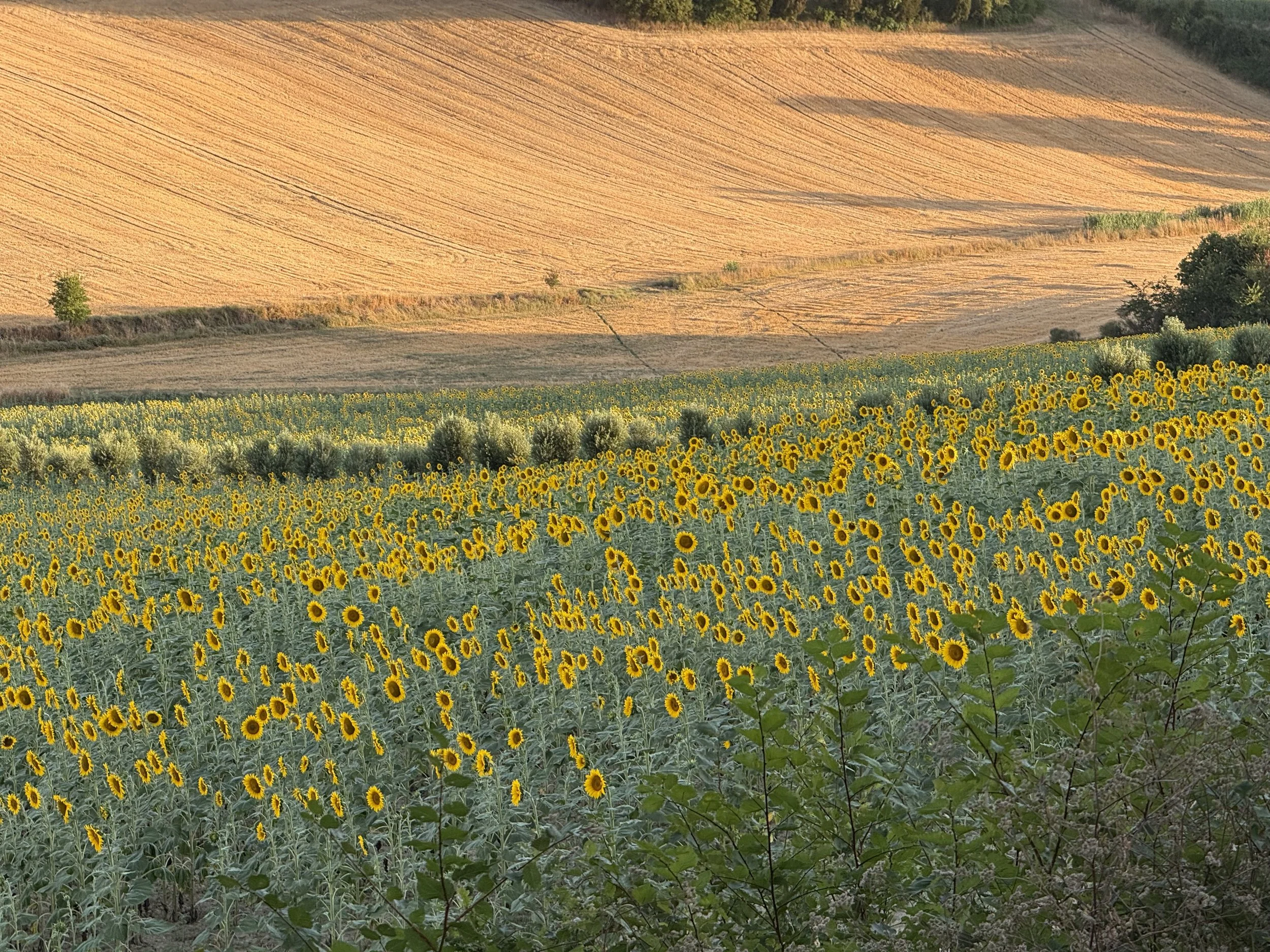 Why Umbria Feels Like Italy’s Best-kept Secret